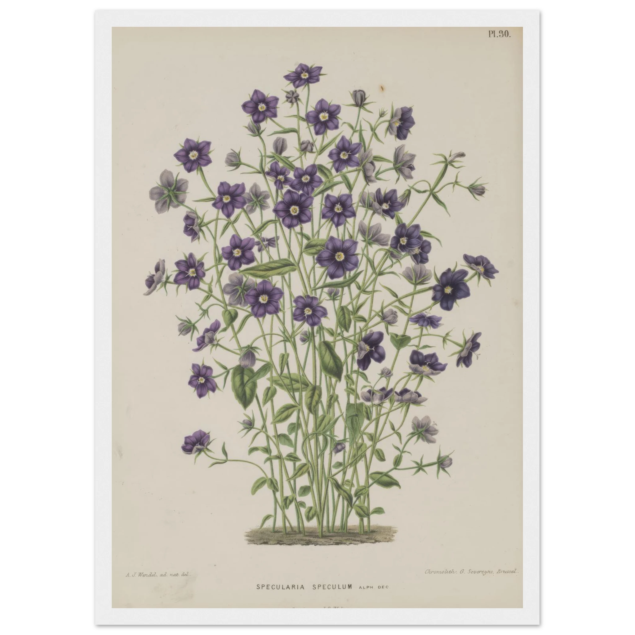 ae8dc592-f05f-4cba-b5c1-25fd5d853c30