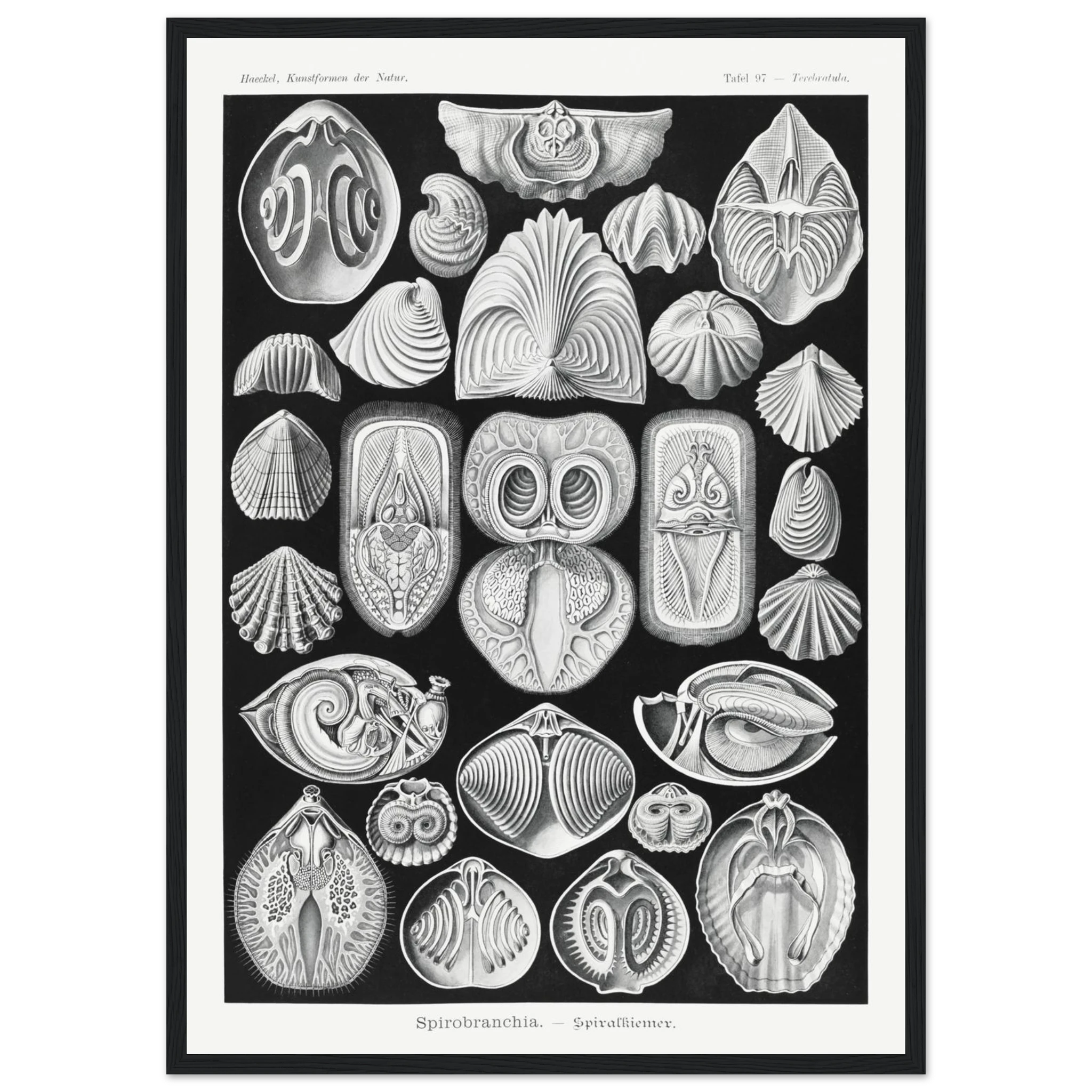 aeaea653-28ad-4f85-85fd-93e4e76080f2