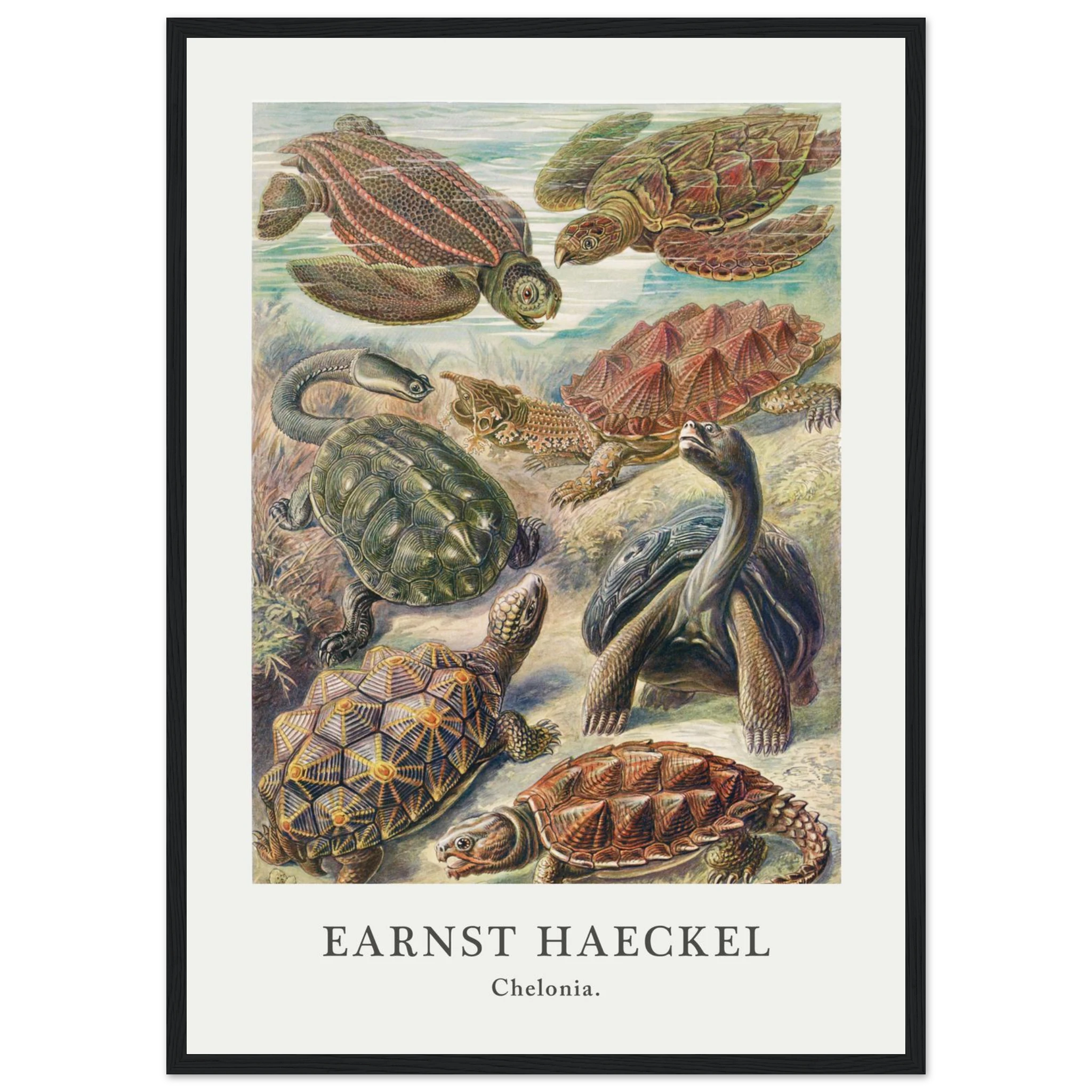 aecda726-4db2-4e8f-9300-c3d7ec3898c1