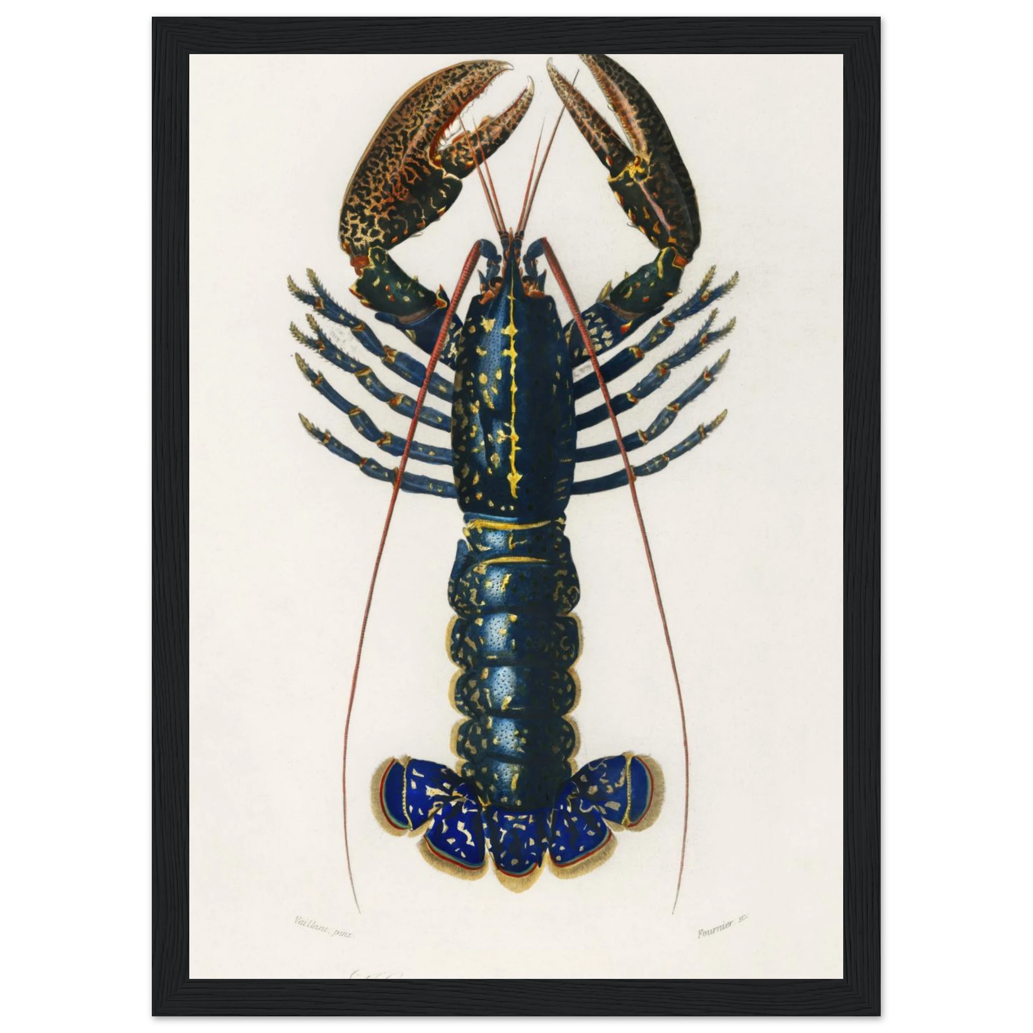 aee81cc2-e0ac-4c7f-a7ff-85321dfb7c4f