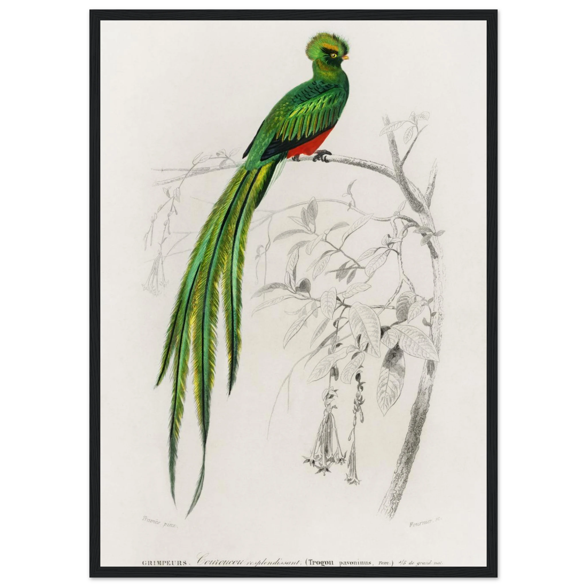 af00fbf2-c125-4799-8cda-ca3d3fe6423c