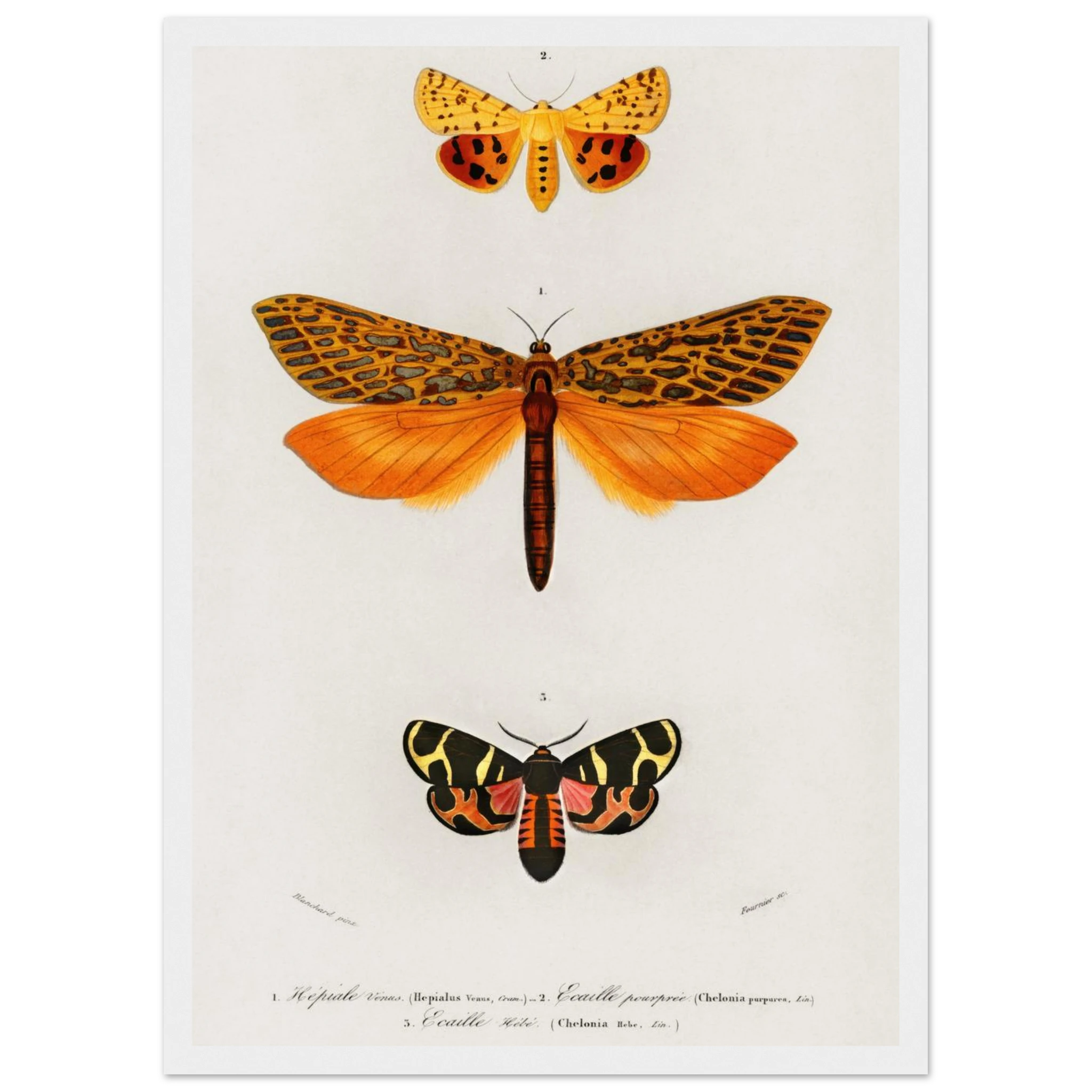 af0c43ec-e91f-4f53-91a0-4182cd45fe8f