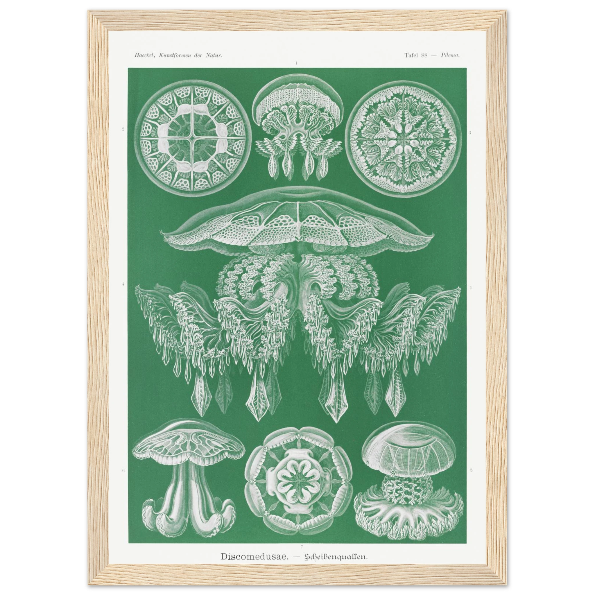 af0f3f65-6ffb-4497-8a92-15e172b36db3