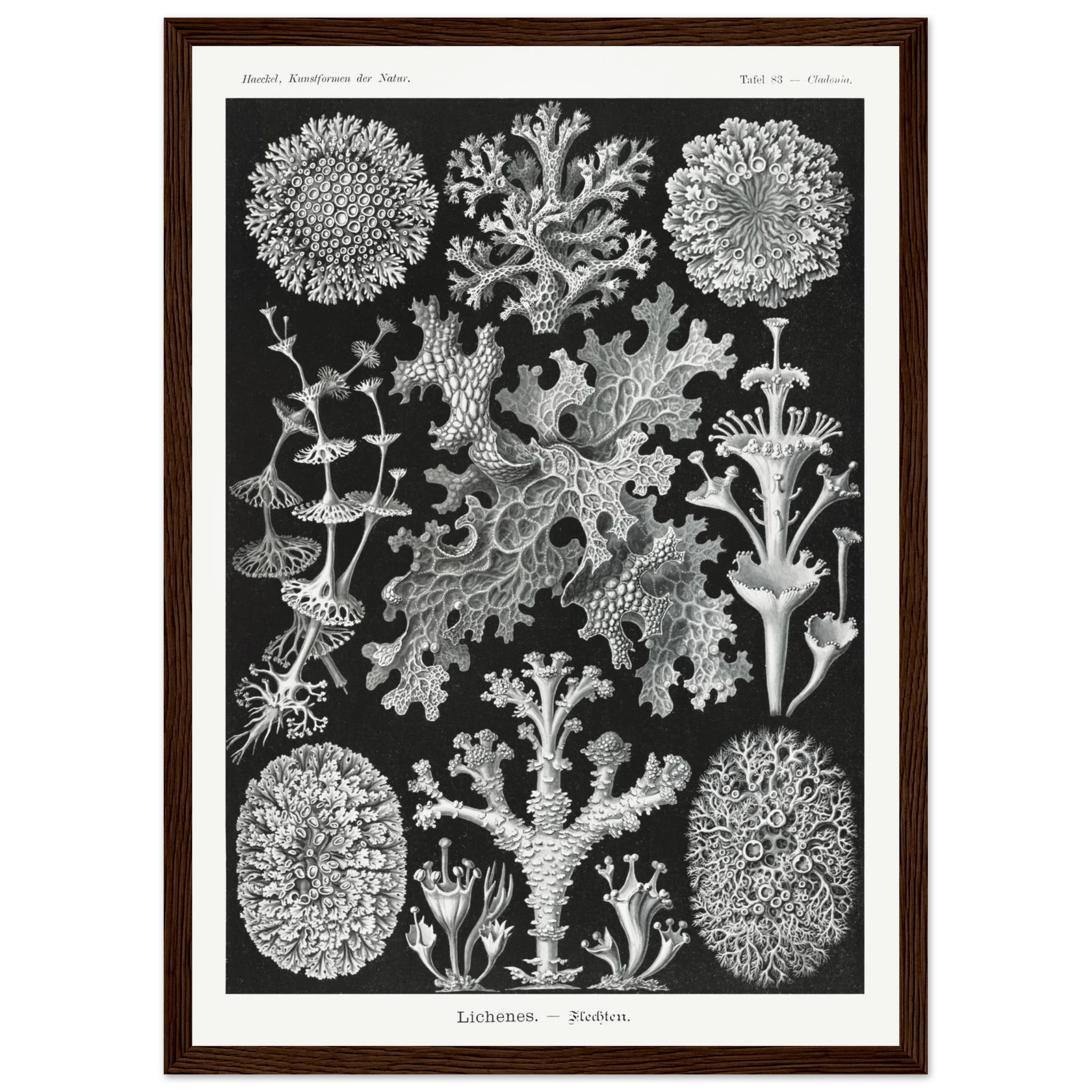 af42aed8-13d2-4c41-8b6f-d67294712b6d