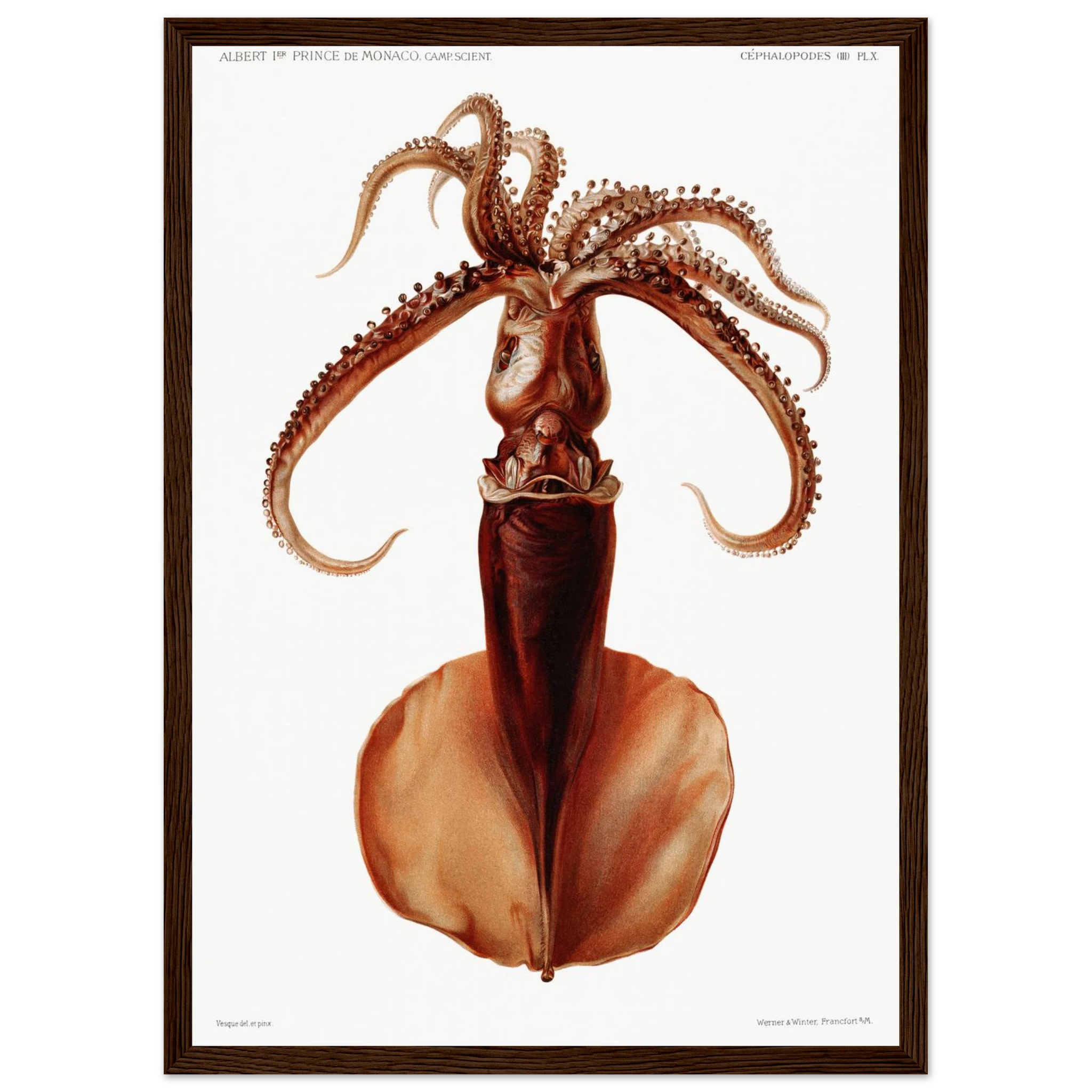 af96acc9-1fe3-45f8-8ed7-554d1760c57e