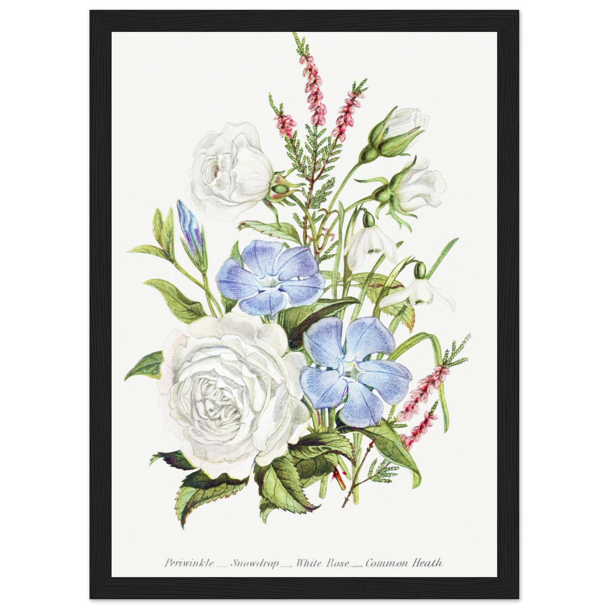 afda78d7-b637-4644-b5b2-c6ddf34c9929