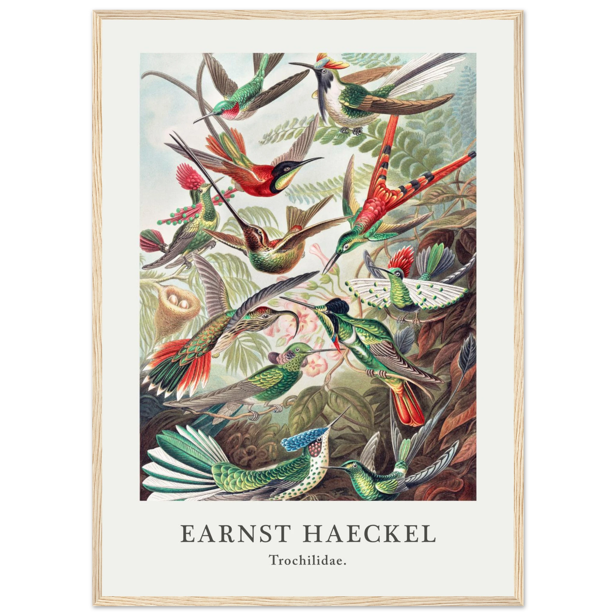 affcdd54-2f1f-4886-9214-7320a1457831