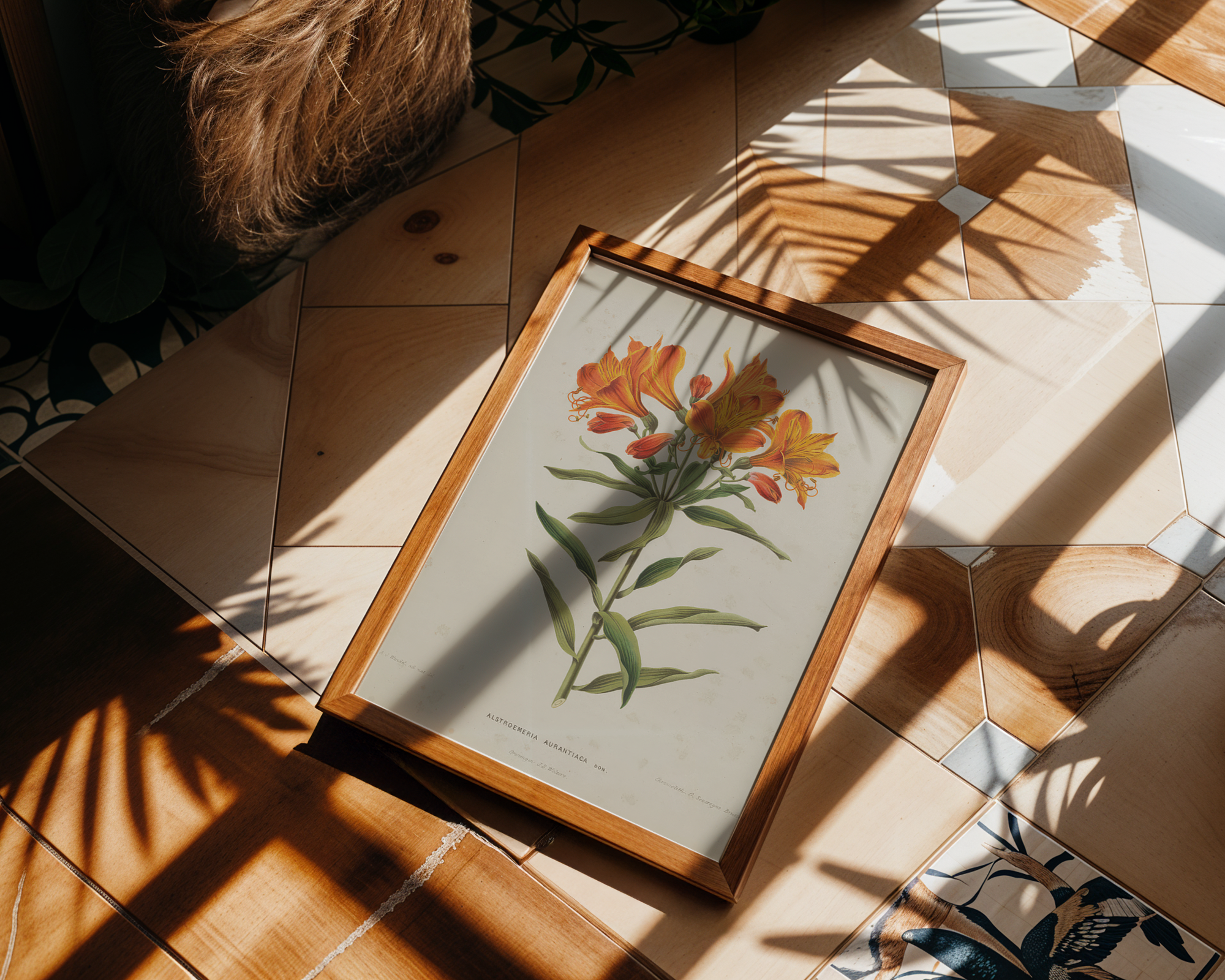 alstroemeria-aurea-graham-a-j-wendel mockup