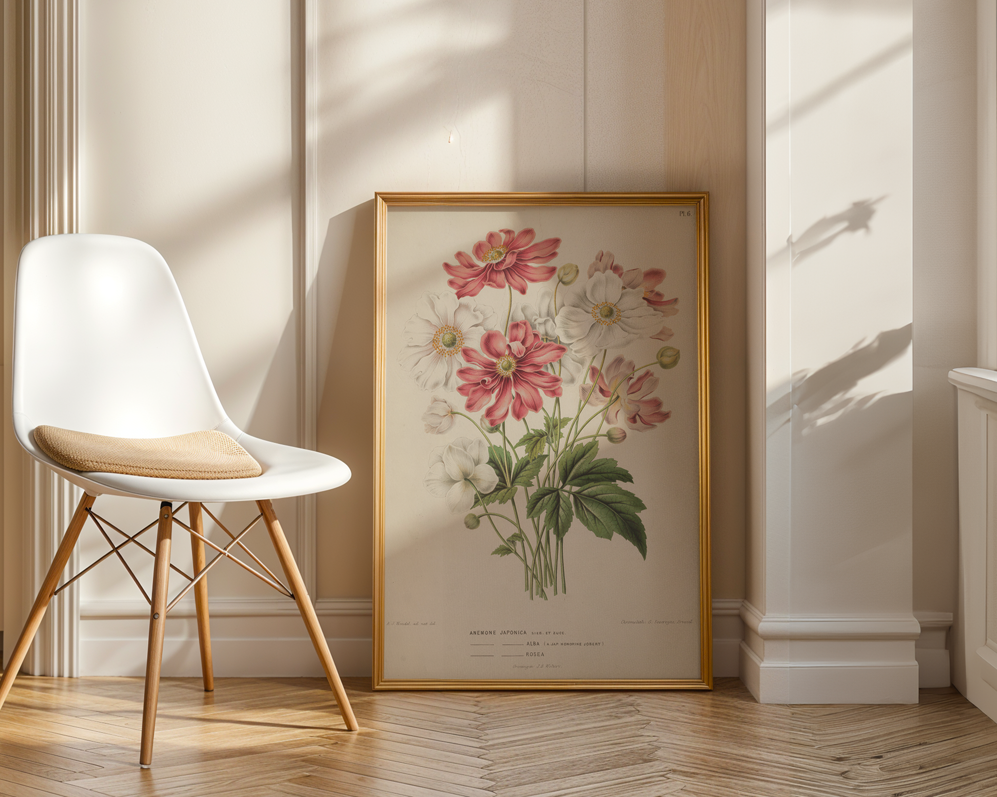 anemone-scabiosa-hl-v-vaniot-a-j-wendel mockup