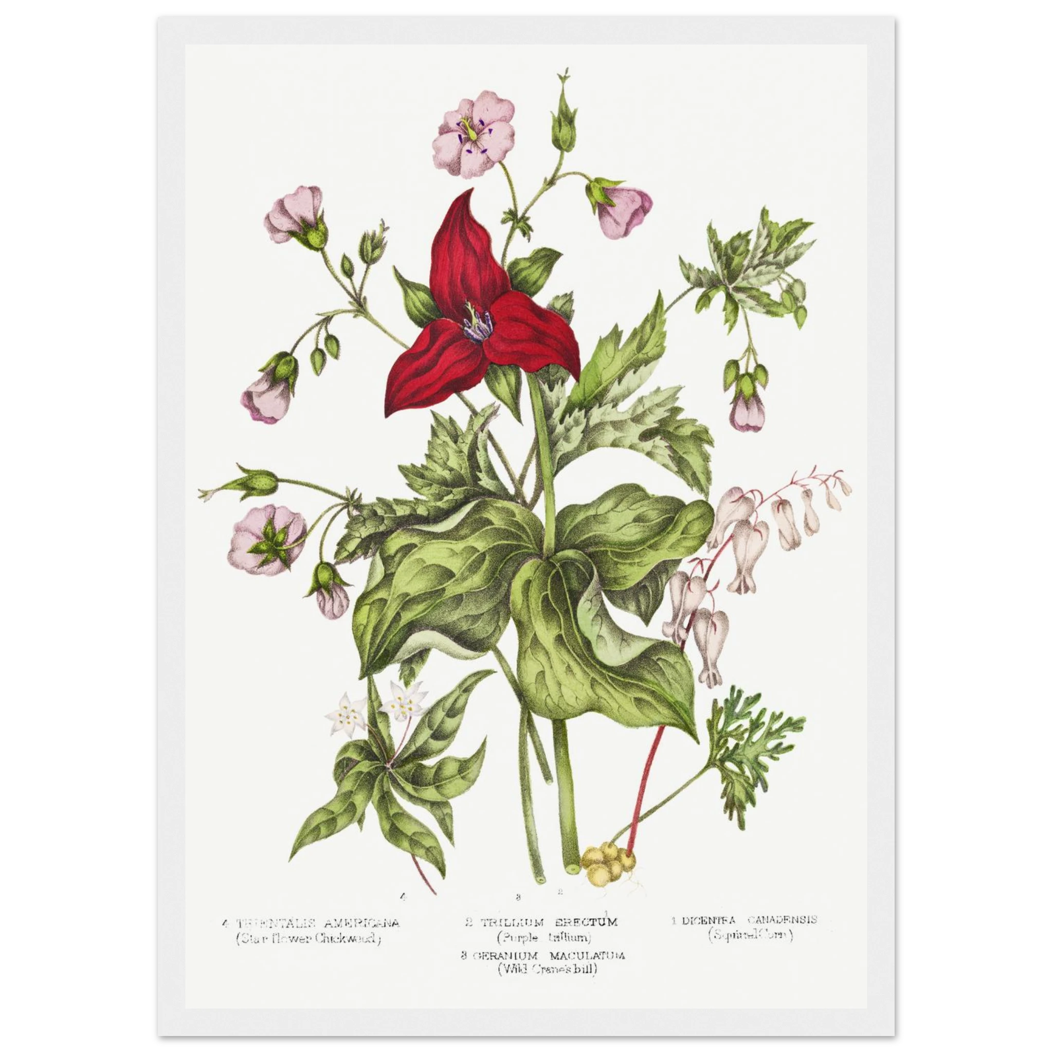 b0137a89-0c7c-4408-95a0-7f6ee14b040f