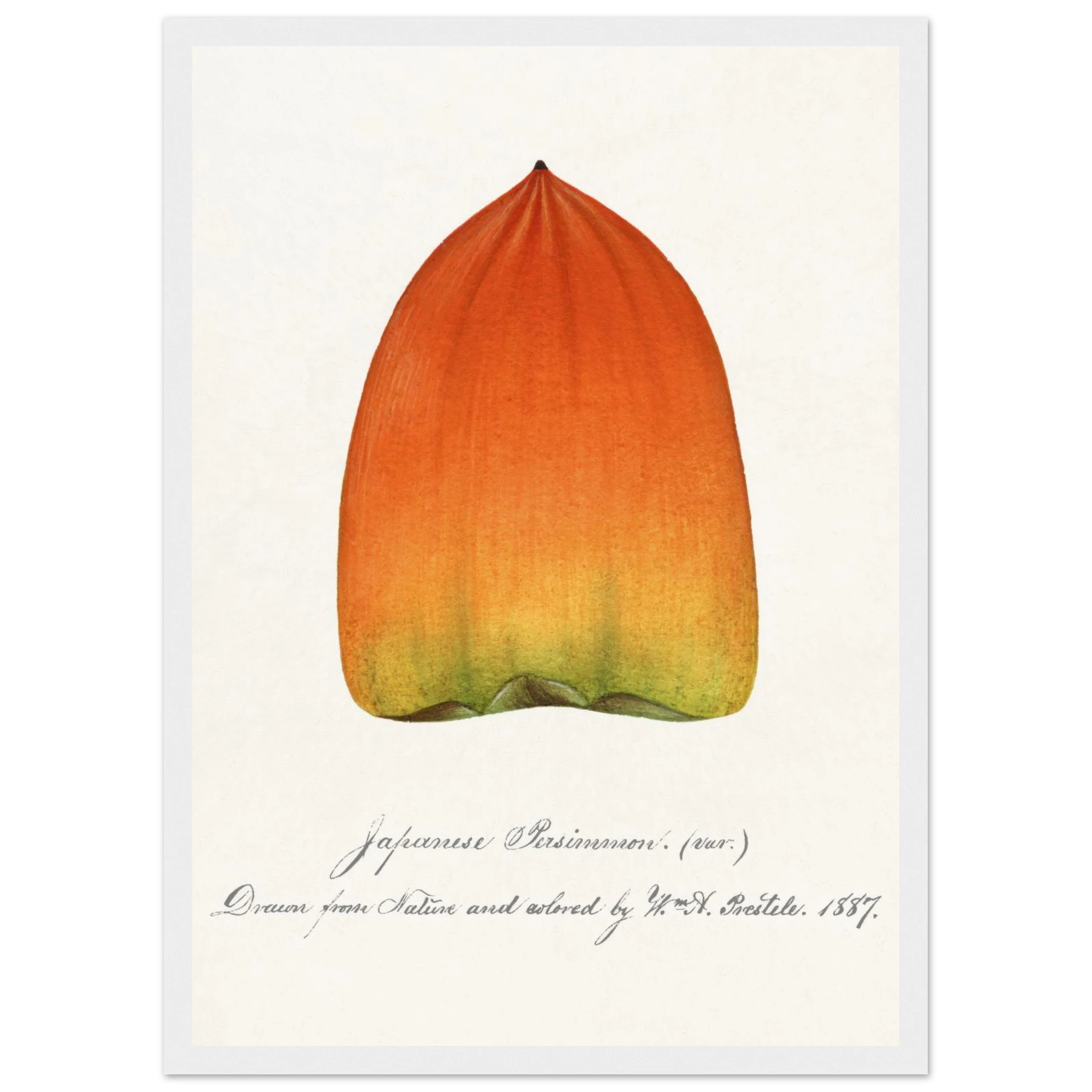 b02d42ac-7b31-414e-b4c3-4f1447040bf9