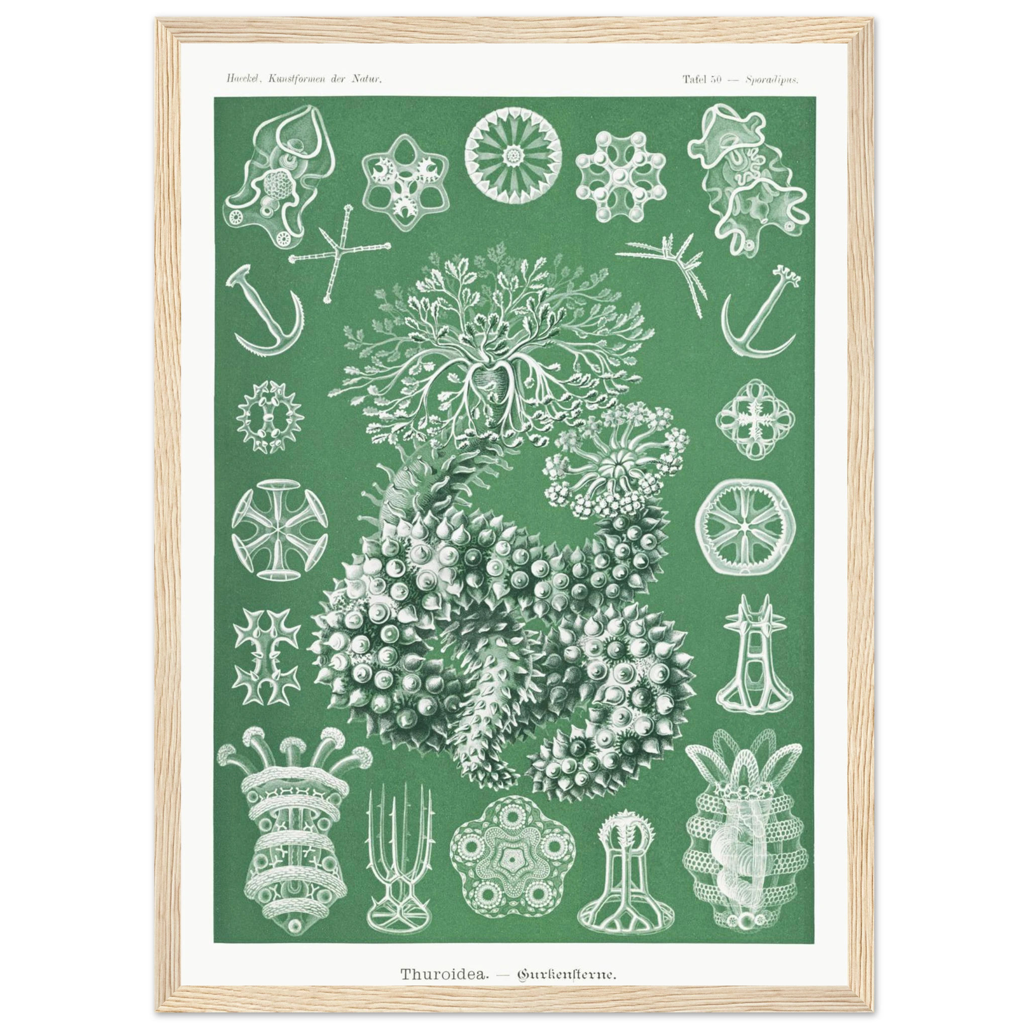 b048de73-4884-4de6-a962-87fd93de89a5