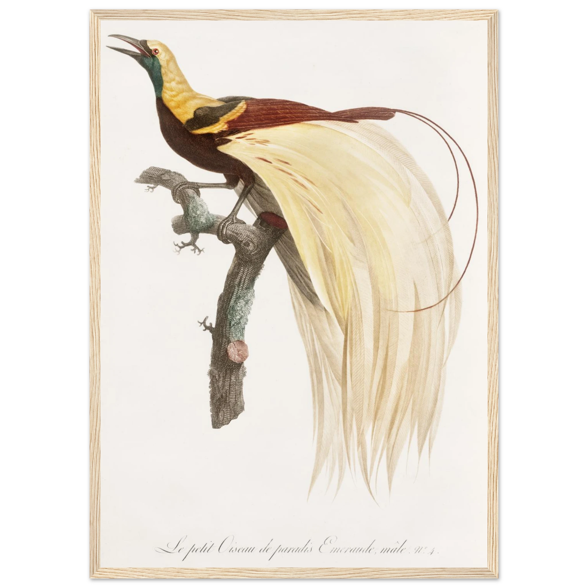 b09e15b9-b120-4b6c-9362-5cfdef99bcf6