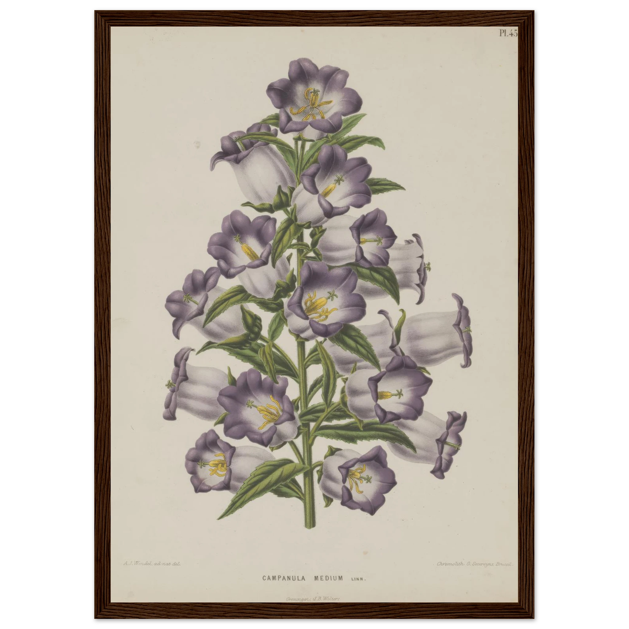 b126dde5-ffa7-48f4-813f-239c9b495851