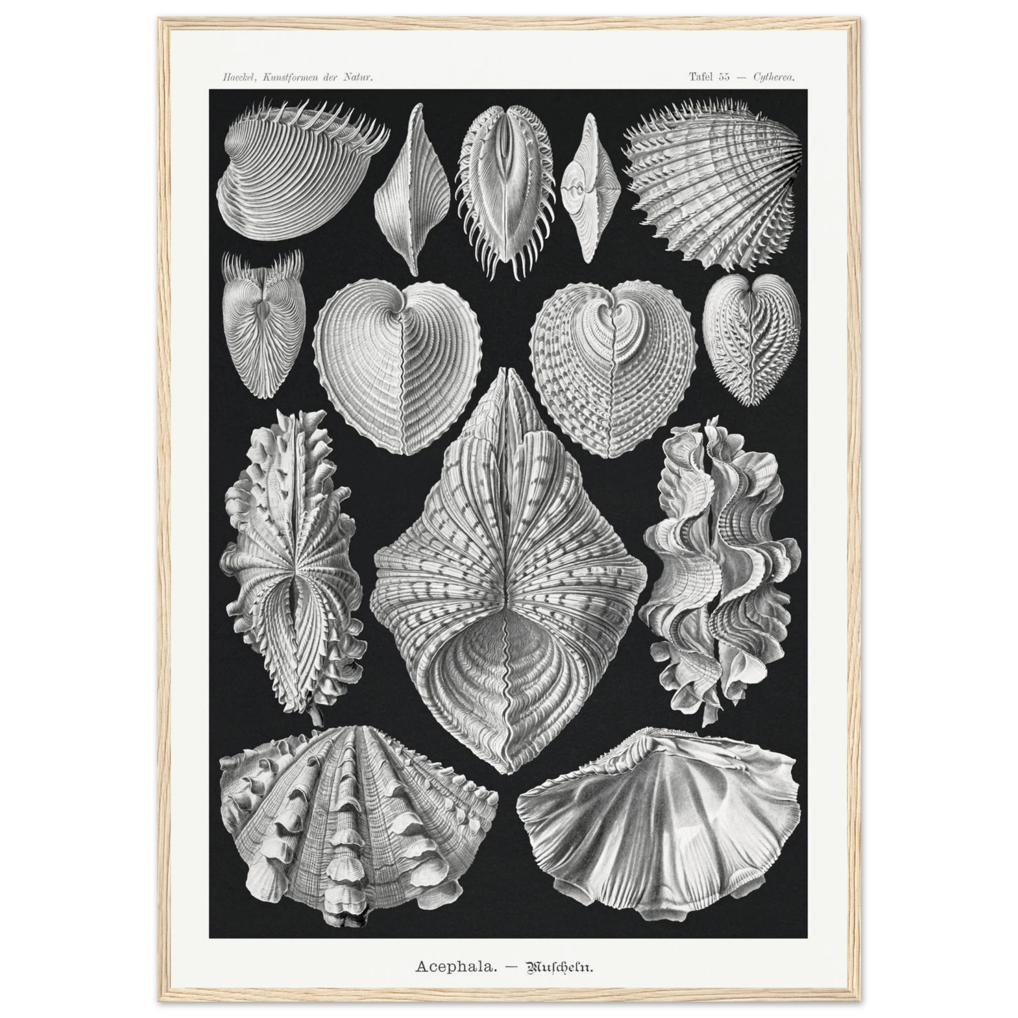 b13c887a-a8cc-4fac-9cdd-2ee6468cd427