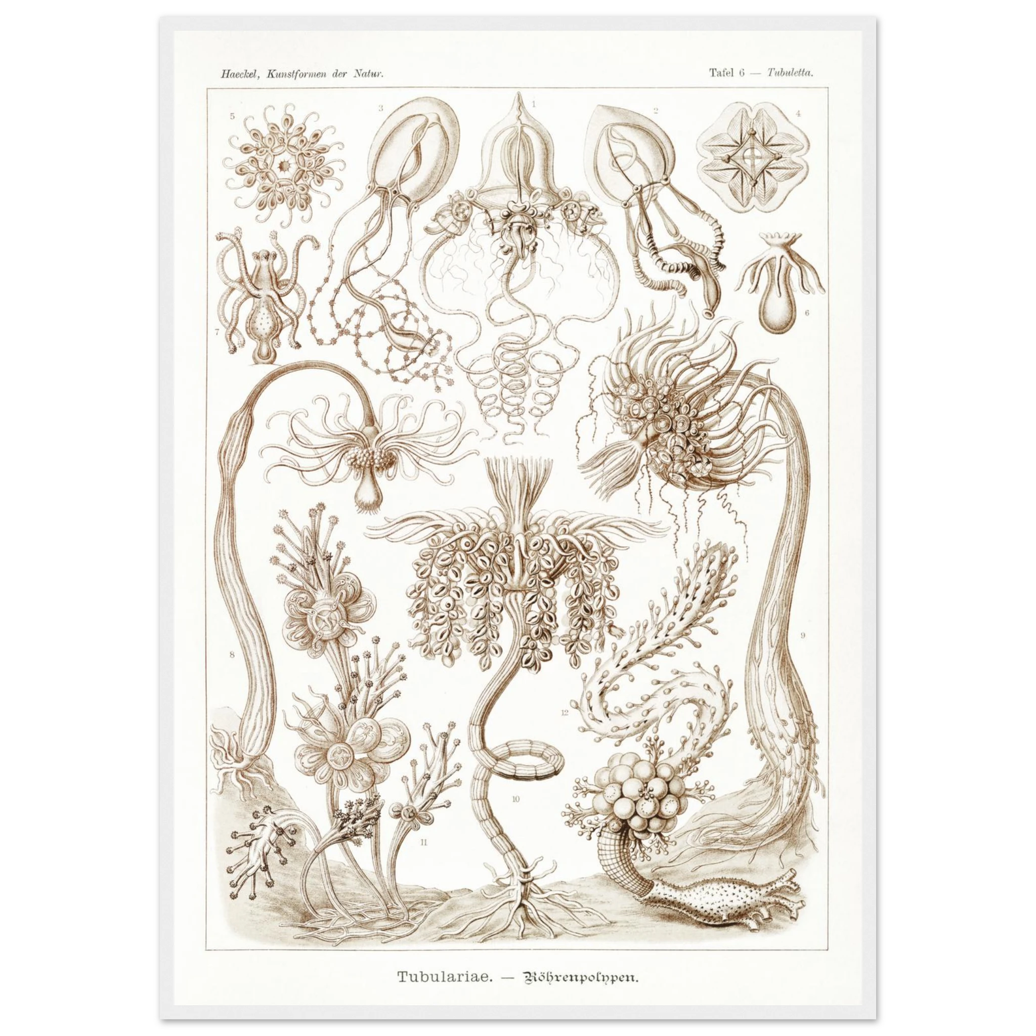 b182ce13-5cc9-43eb-b81a-f0c61d1b6994