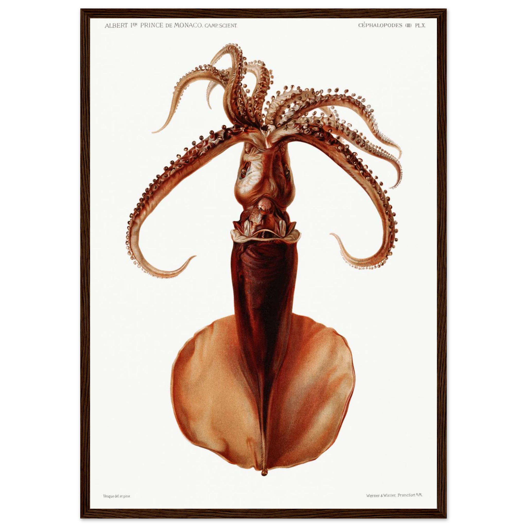 b1c212b1-5b2f-45bb-970d-35b497223093