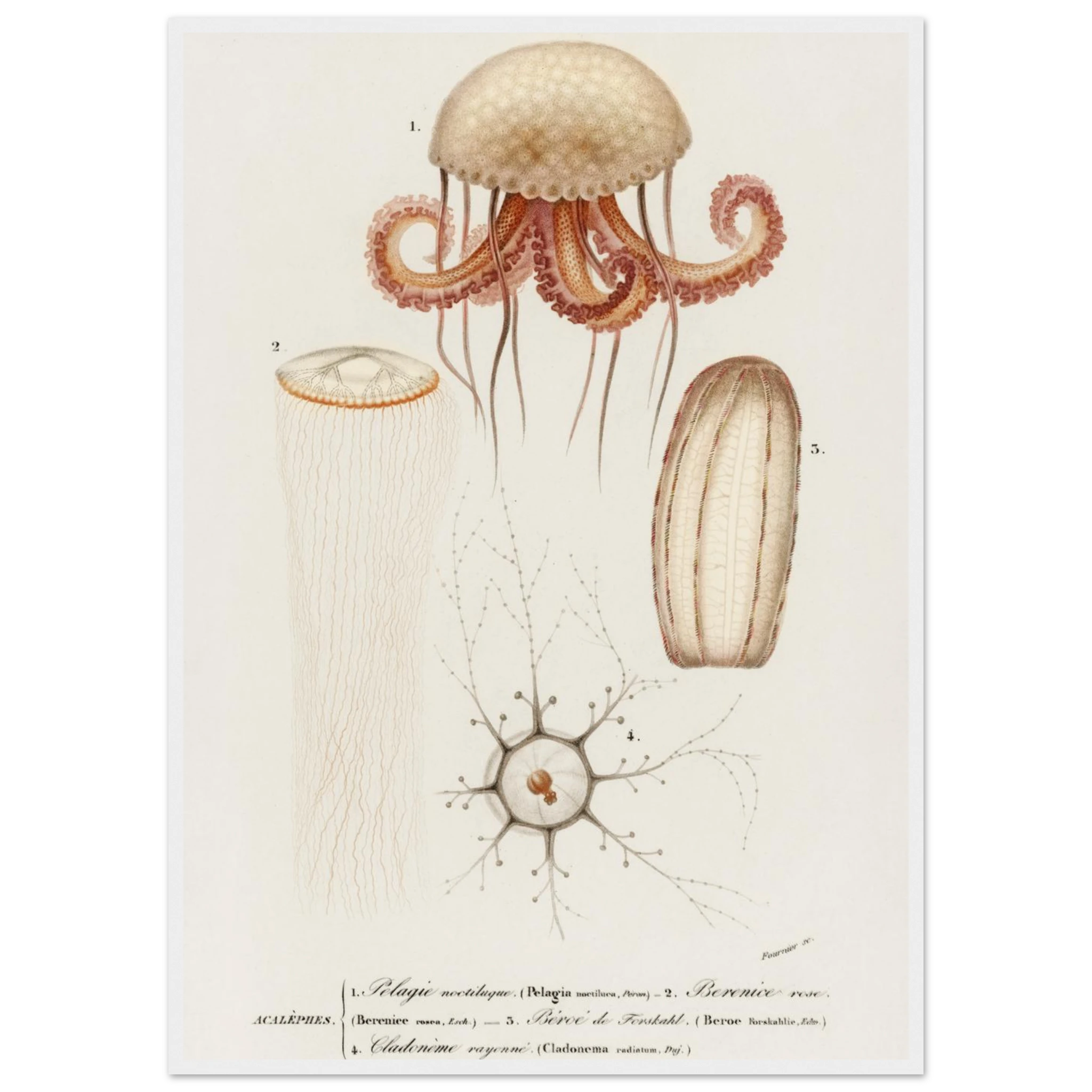 b1c901d3-4257-4a96-ab3a-1f14080abf15