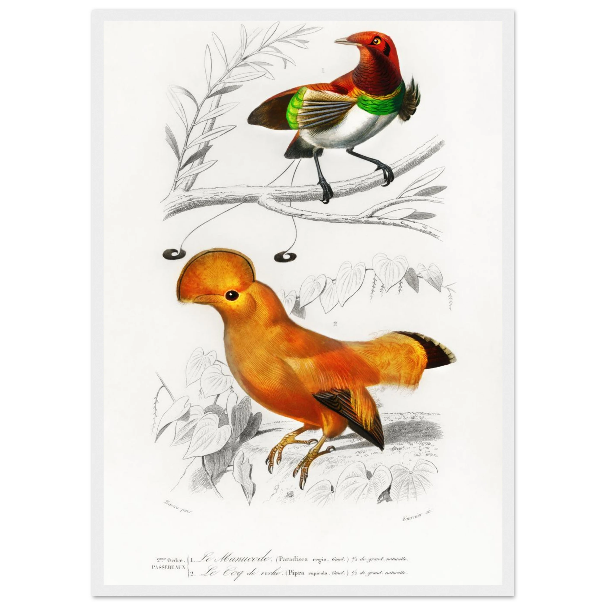 b1ee3d32-0c71-44ad-aa2f-d517ba5a68ee