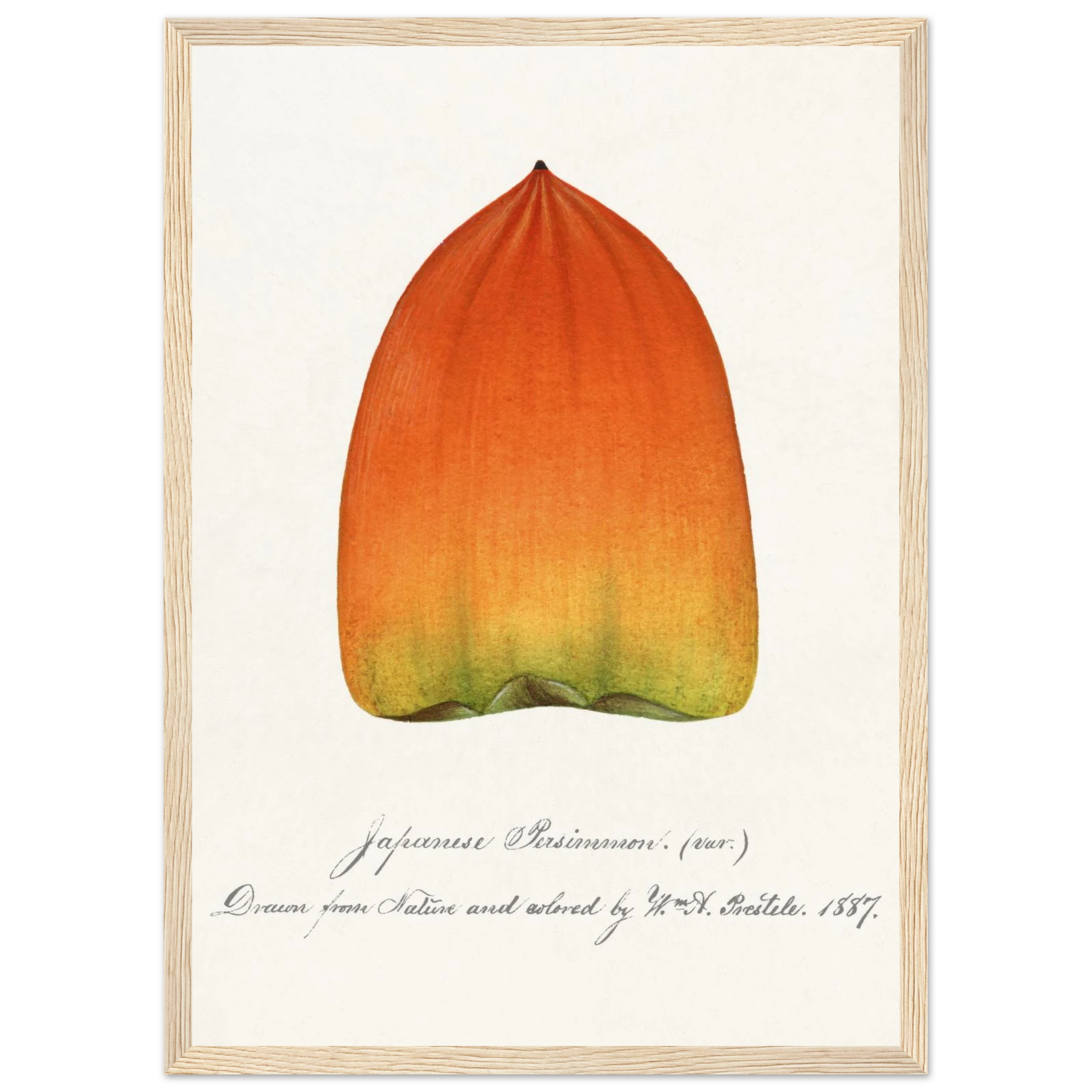 b211923d-1ffd-4871-a426-0c6a3f58c208