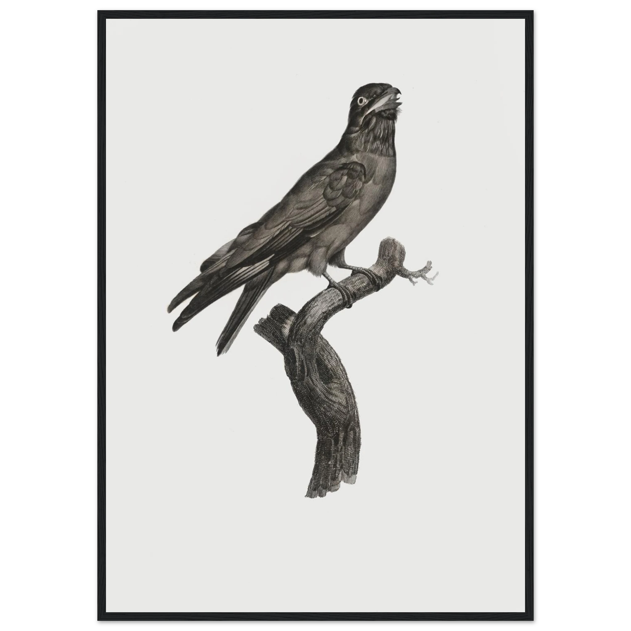 b2201355-d66d-4f18-9425-a1aec8fa0b06