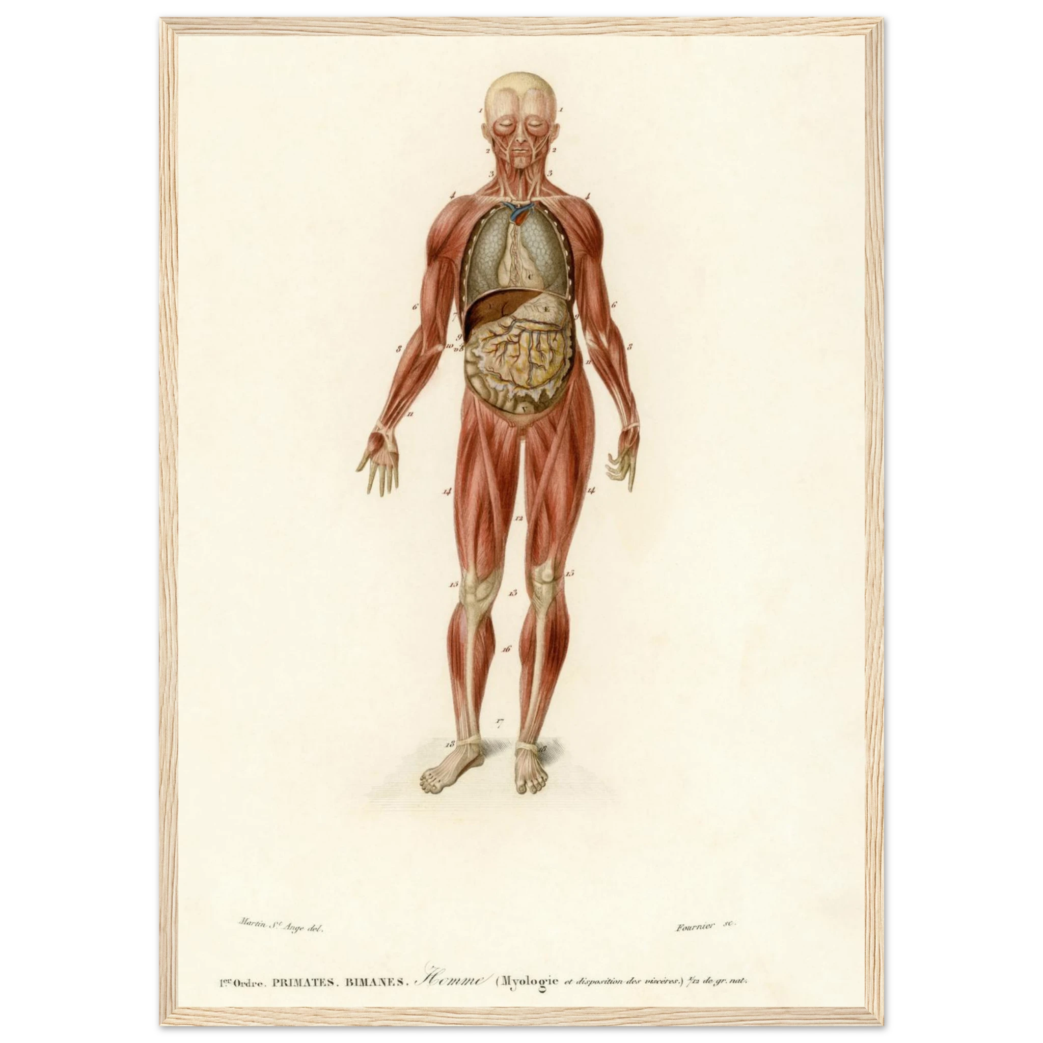 b22cb3bf-feb4-4d12-93af-2045fcecdcfb