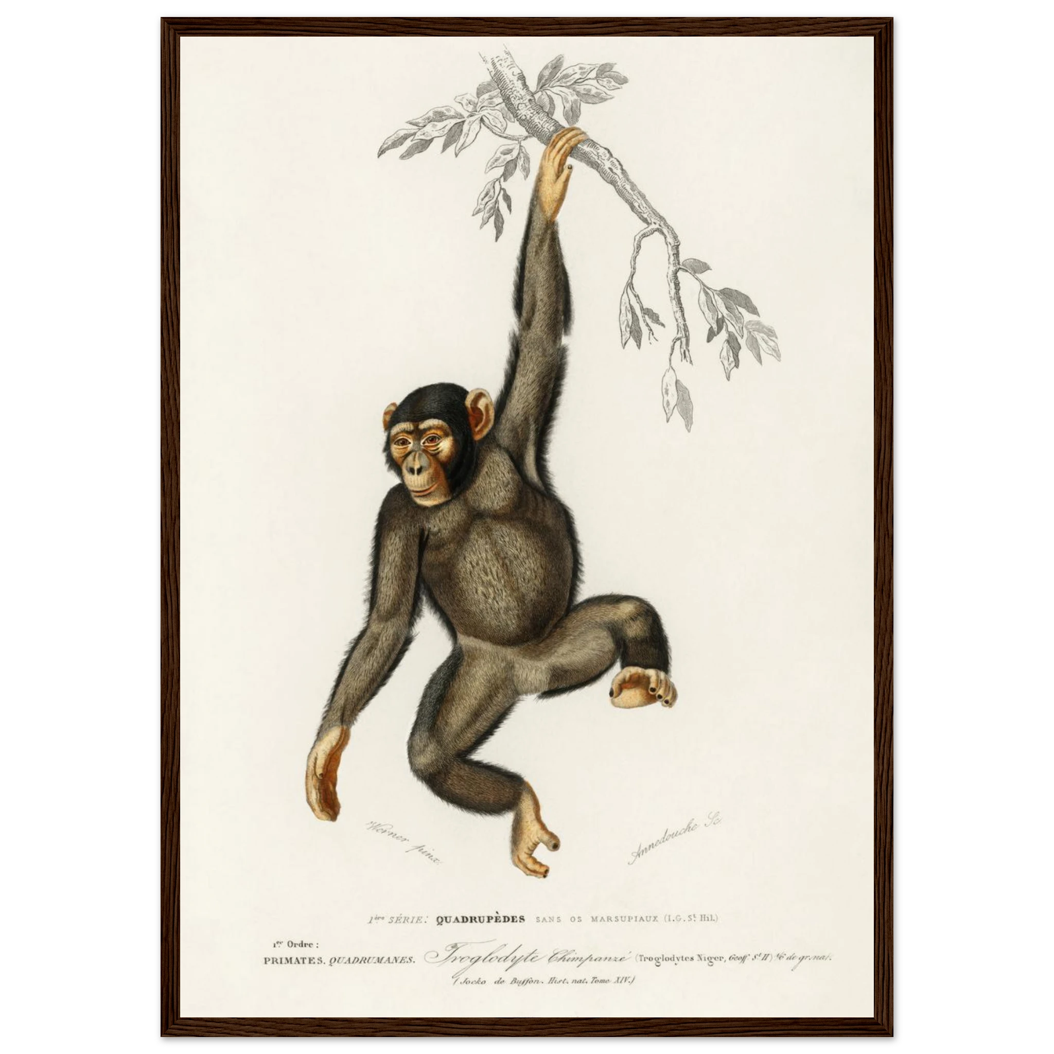 b287c240-286c-47b2-a308-7959043a6331