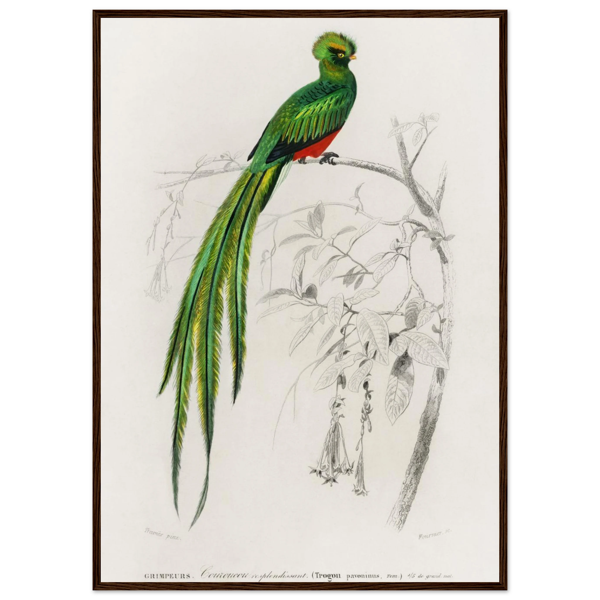 b33a2696-a689-4e67-b0b7-ef70e33c70e3