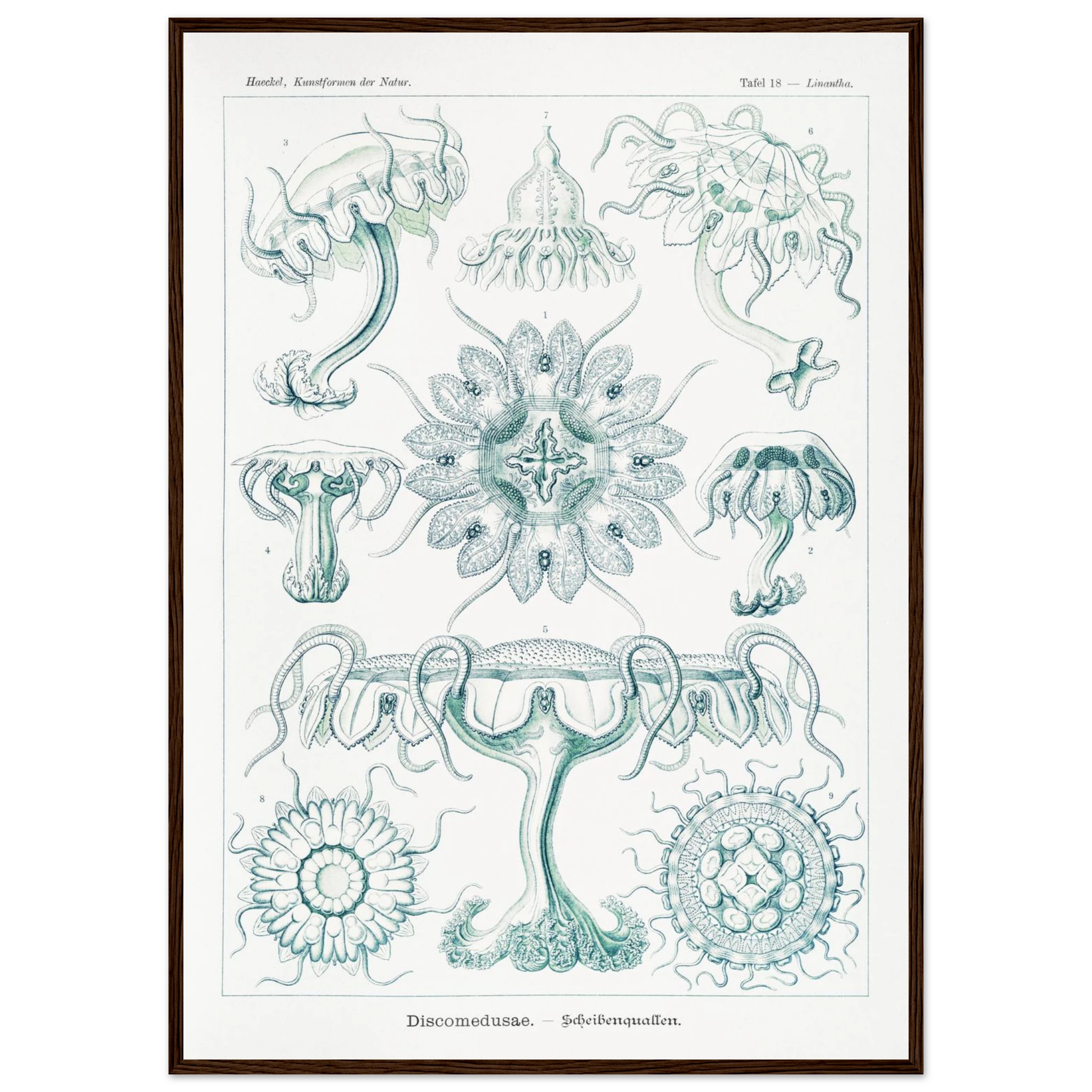 b35ecb56-6a72-4f19-bd79-989987a8818b