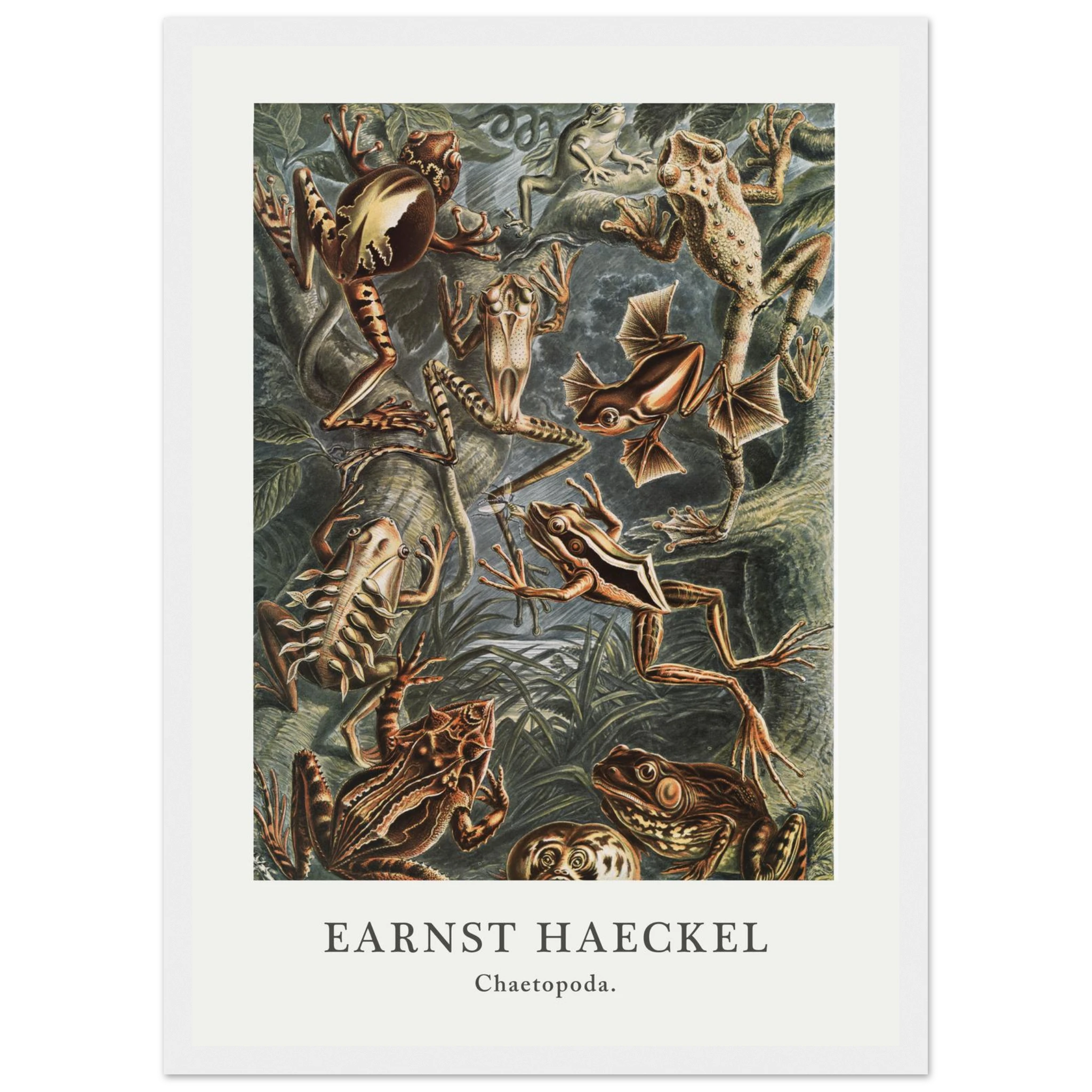 b37381d0-4690-41b3-b2ca-c882c0767896