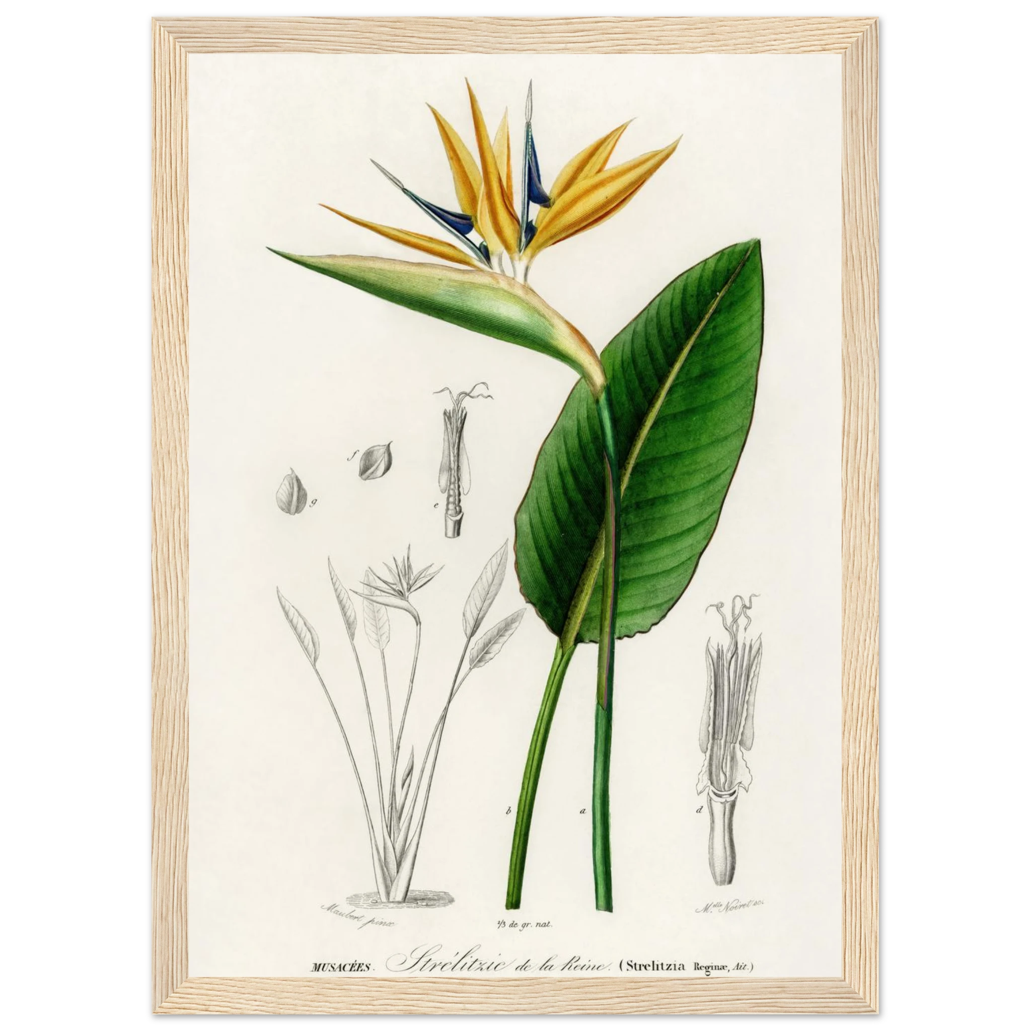 b3989dc5-86a3-4b66-abc8-be30f4d03fa8