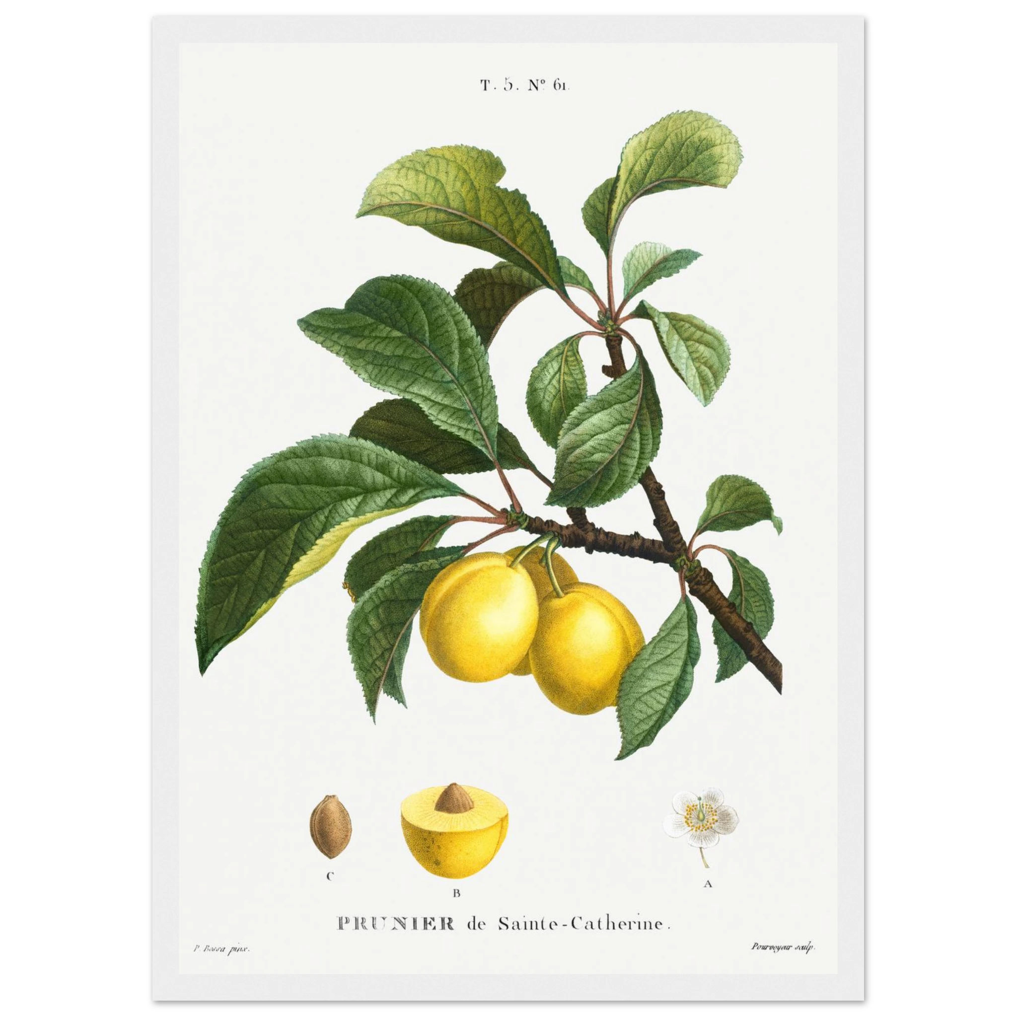 b3b8b3a9-dbce-4eb7-86ee-2c1085c1edd6