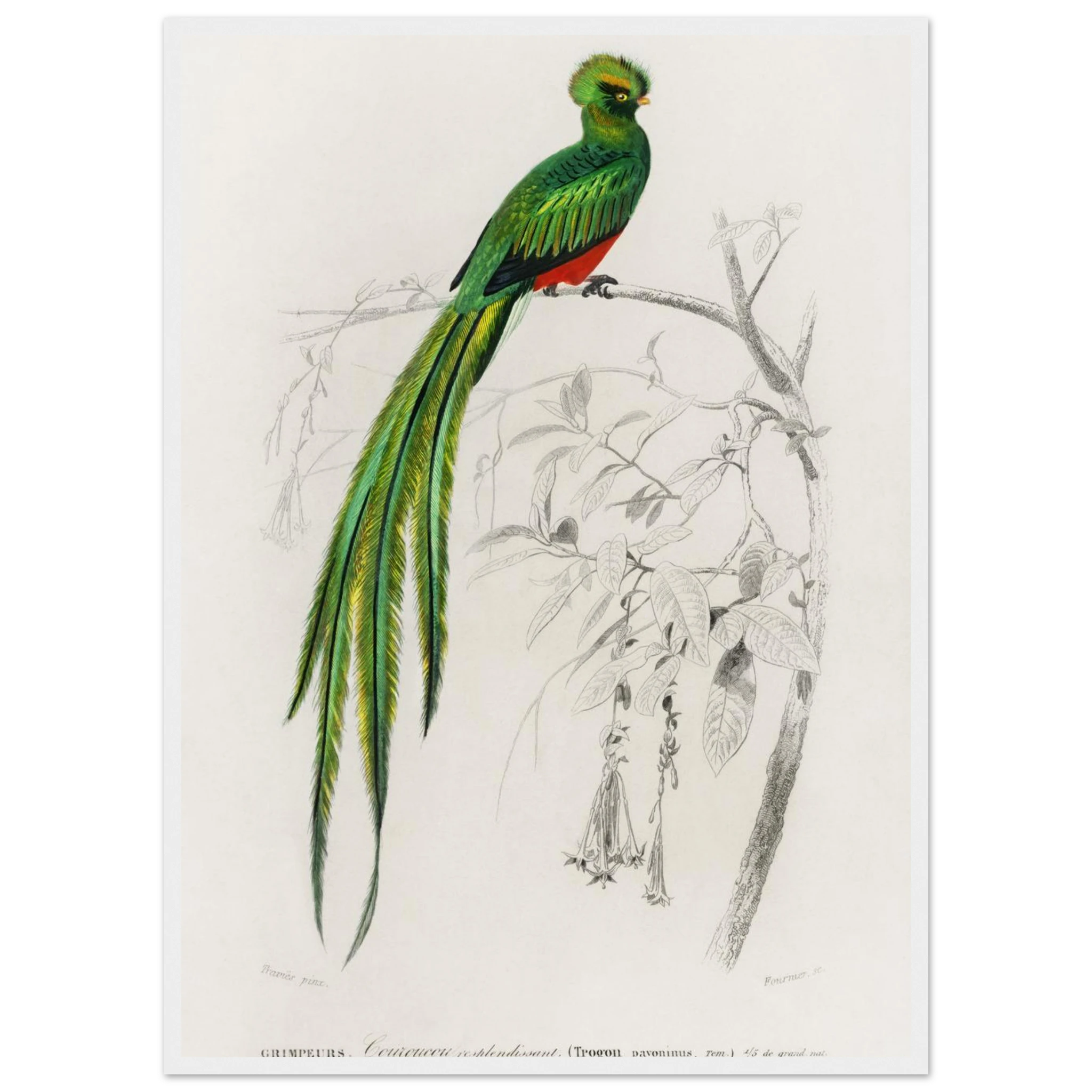 b3c11794-f1ff-4aea-9694-9c20b2e221d2