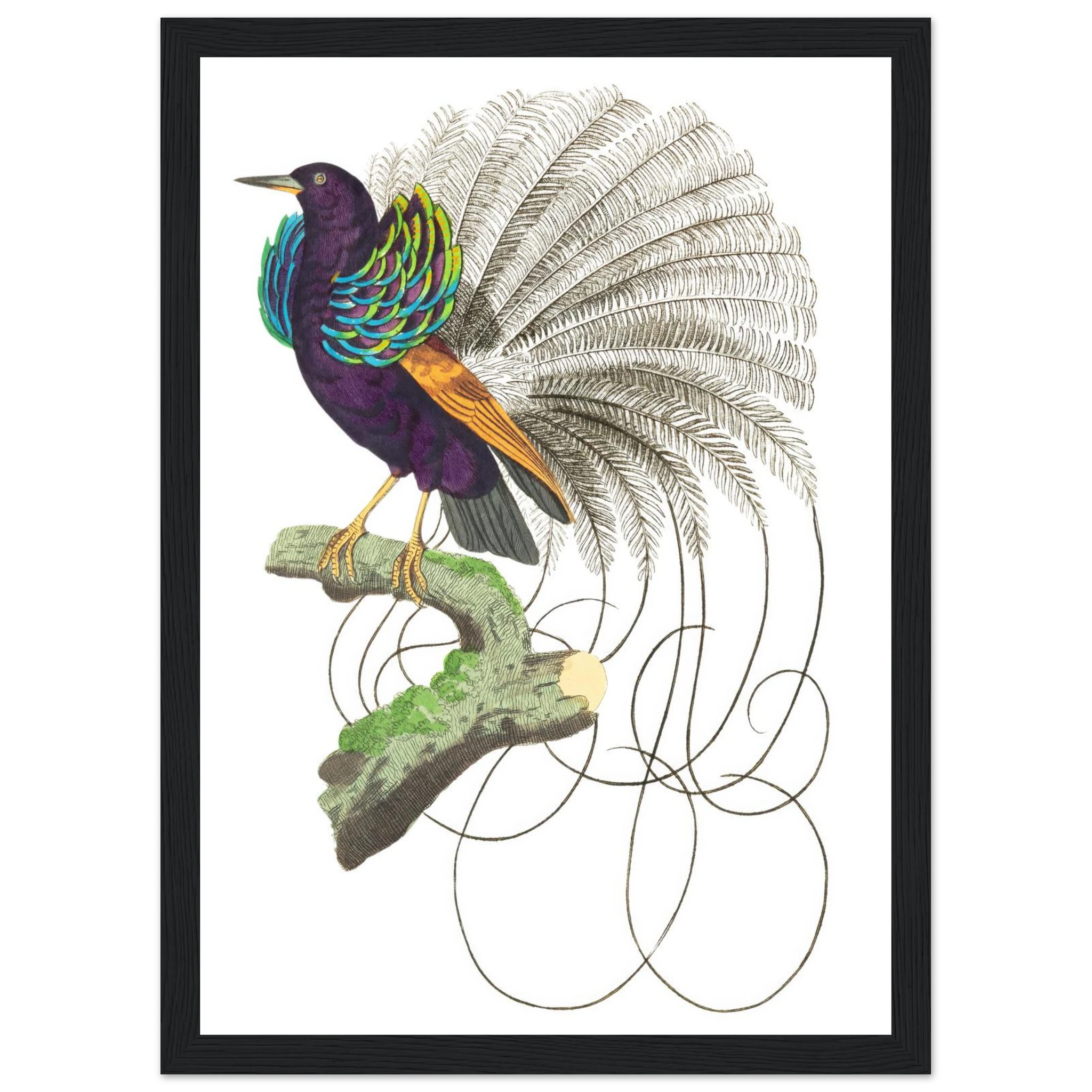 b3c1b401-235a-426b-865a-8ae3474b116f