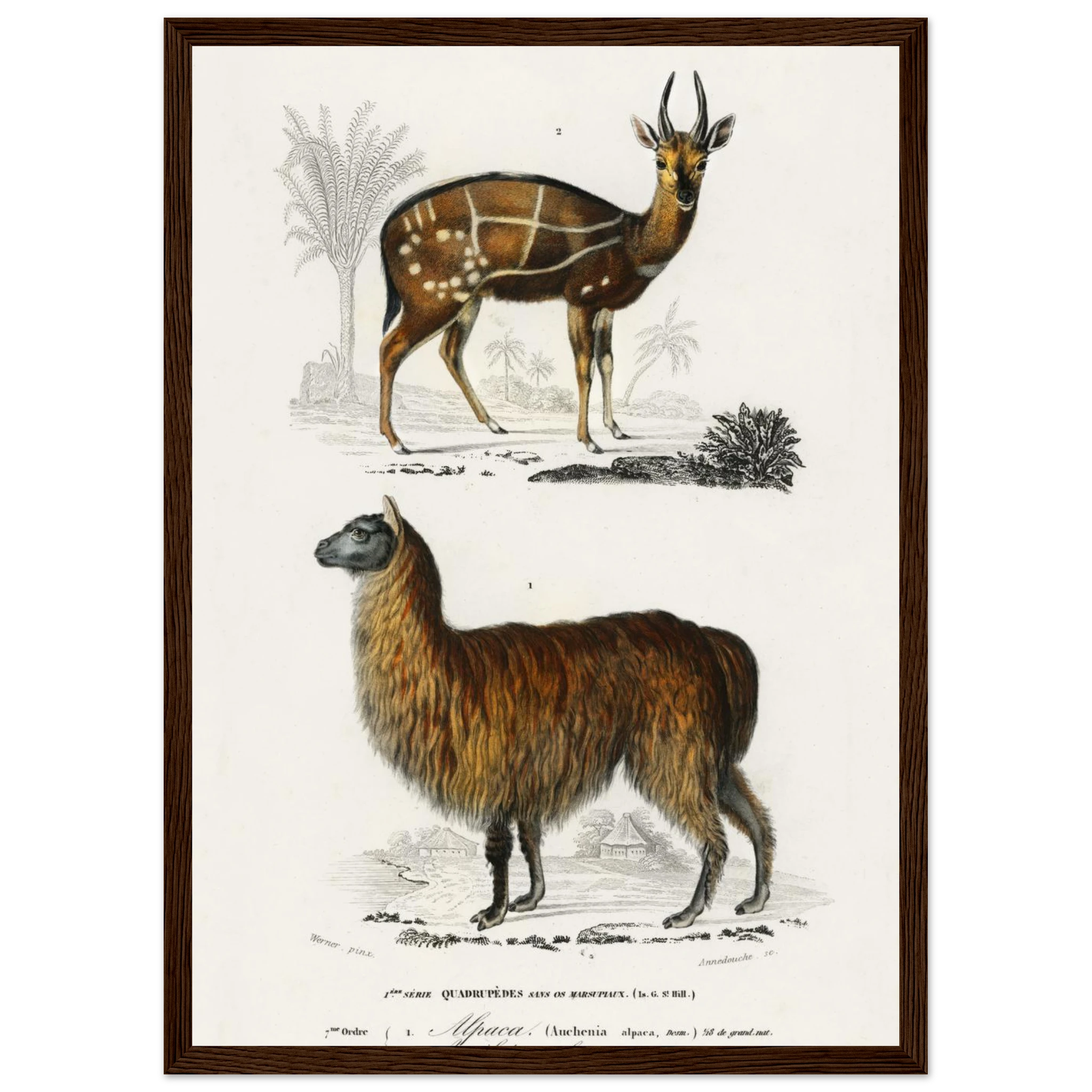 b3fbe7ff-5d5d-4433-8ef5-e24f8e4395c6