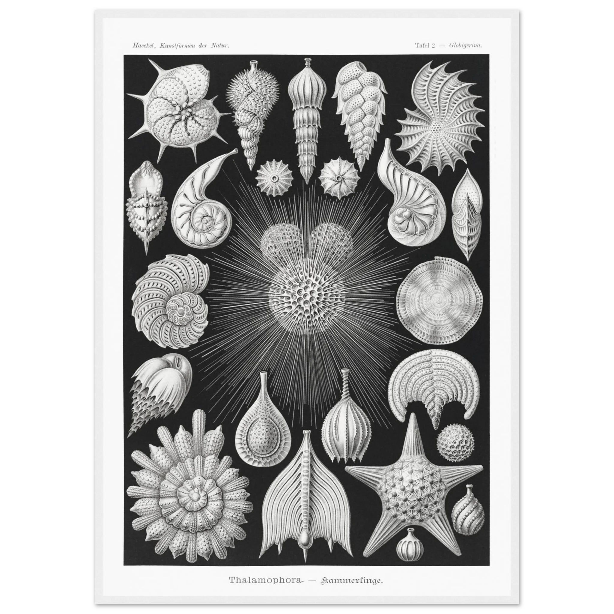 b447dd9d-8f40-4add-b1ac-6d5dcd9af790