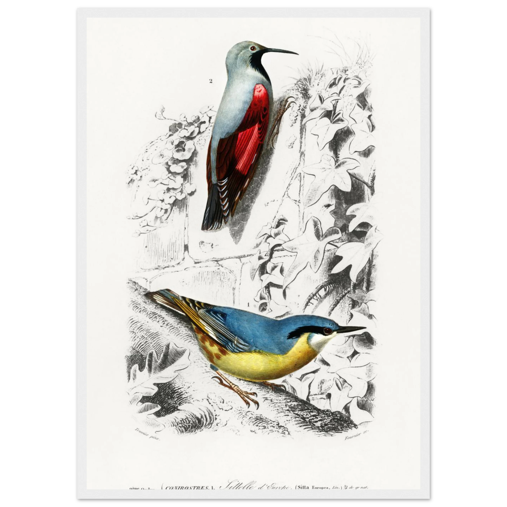 b45244fd-d084-4f3b-9d32-53b3bec8ef95