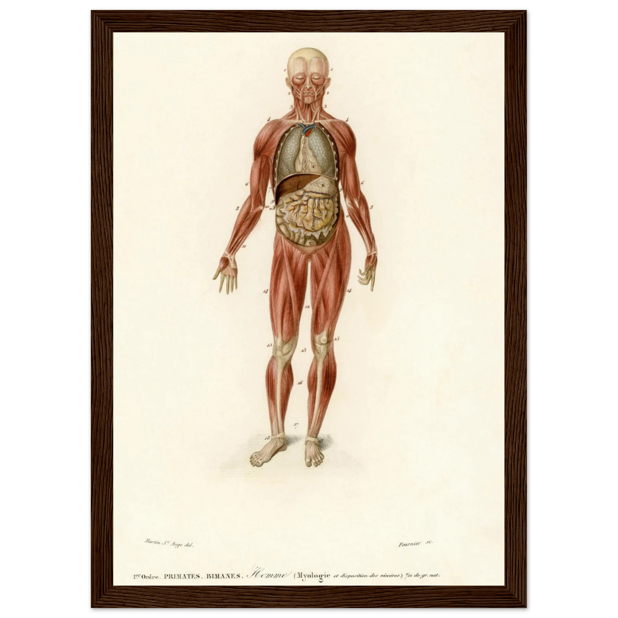 b4534423-80f4-4df3-b3e8-616322a42a01