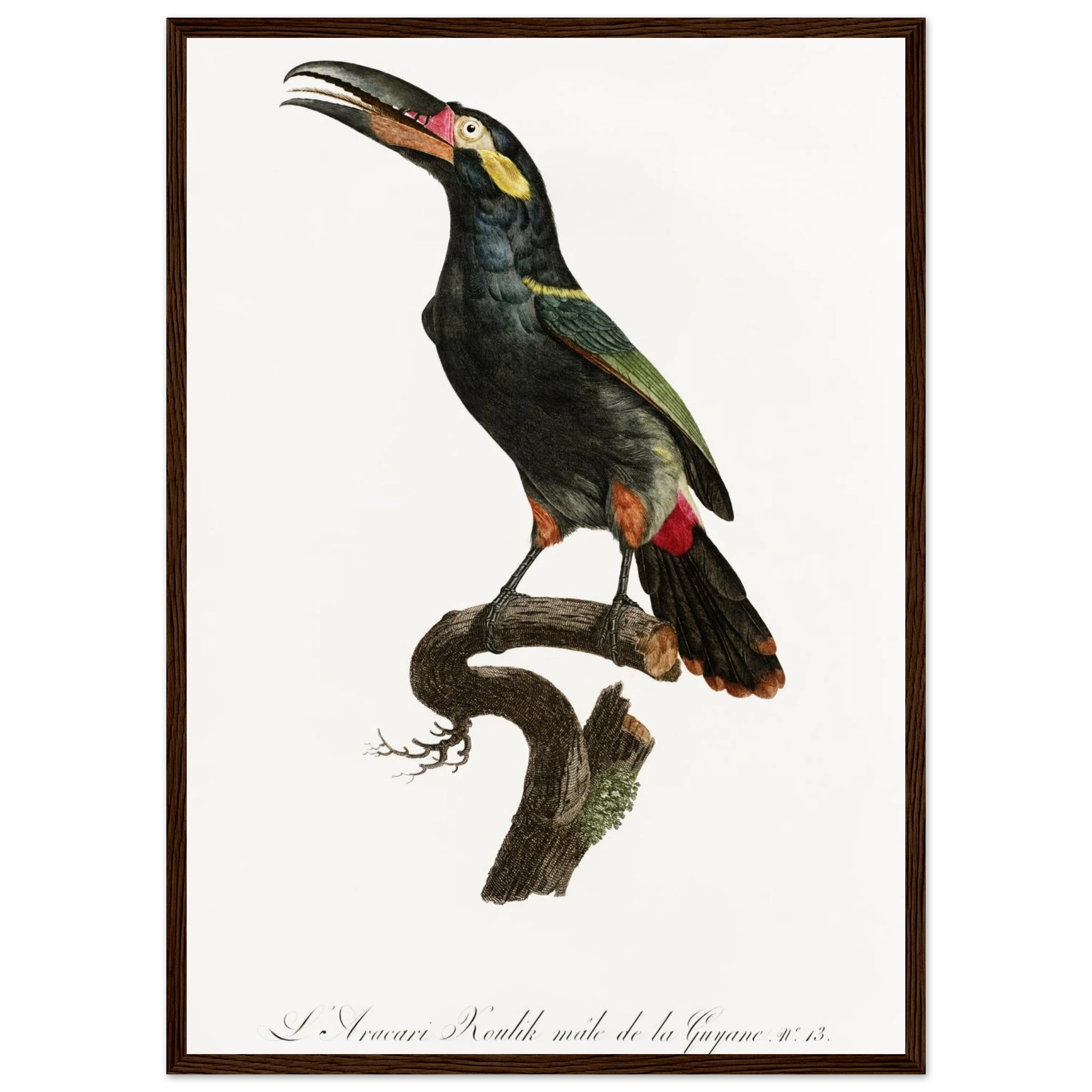 b468bf69-b2c9-415e-a327-8e450c92c8a1