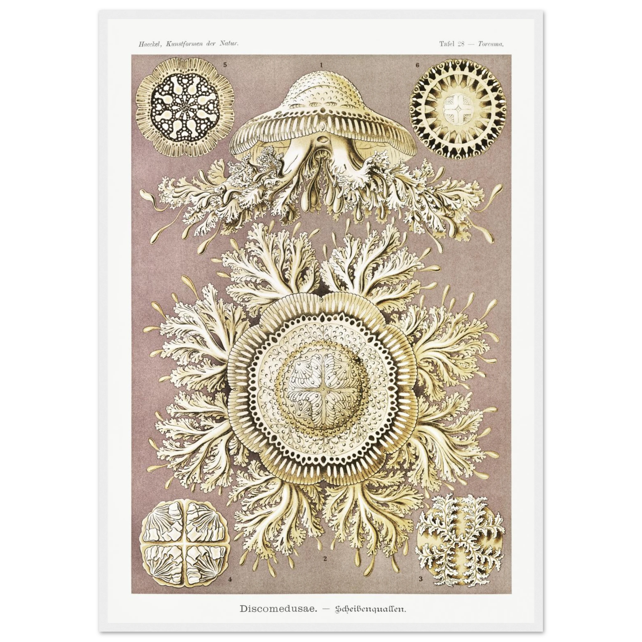 b489d7c1-2111-4a20-abf5-0d9ba7780390