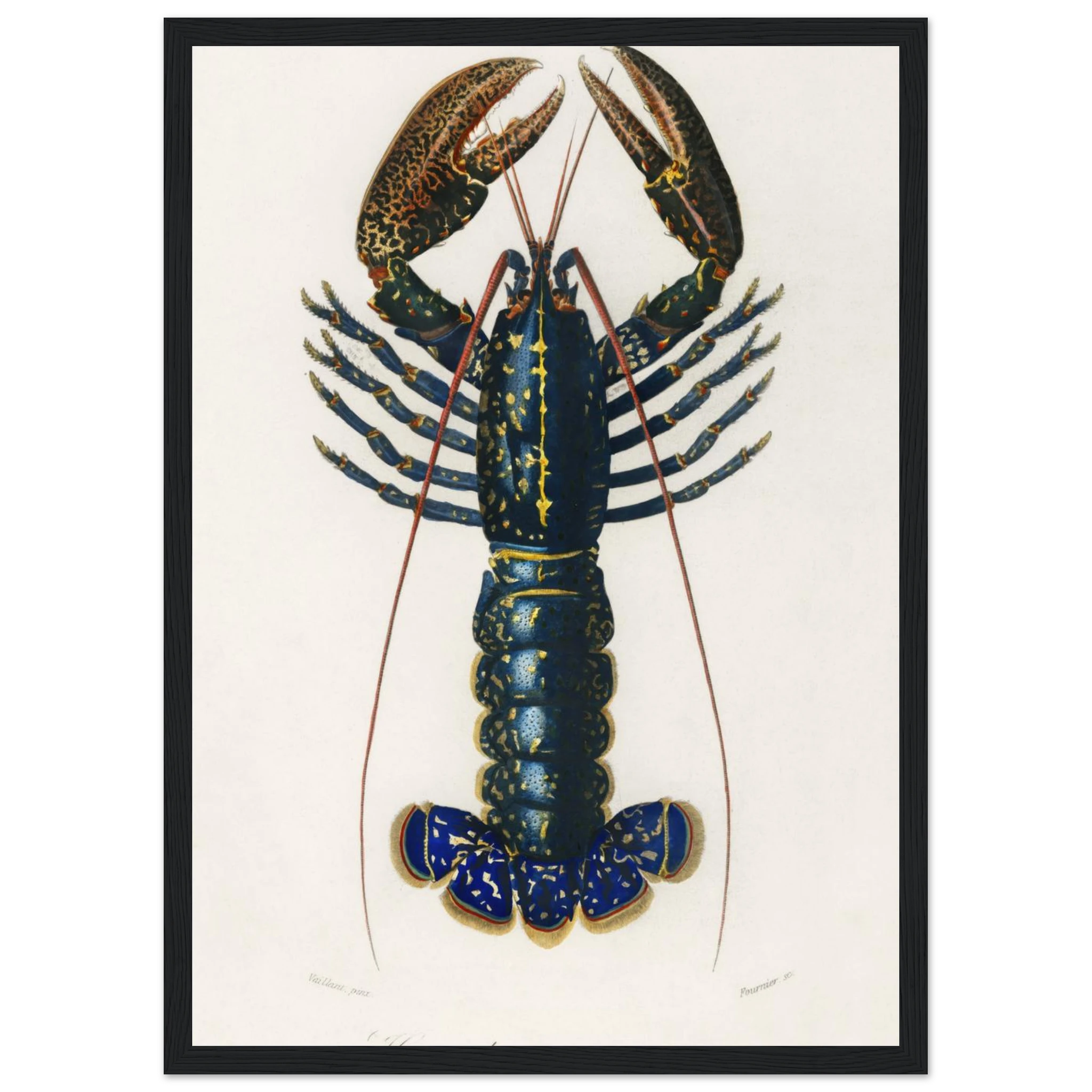 b4bd7995-32a0-4041-b626-911203510b84