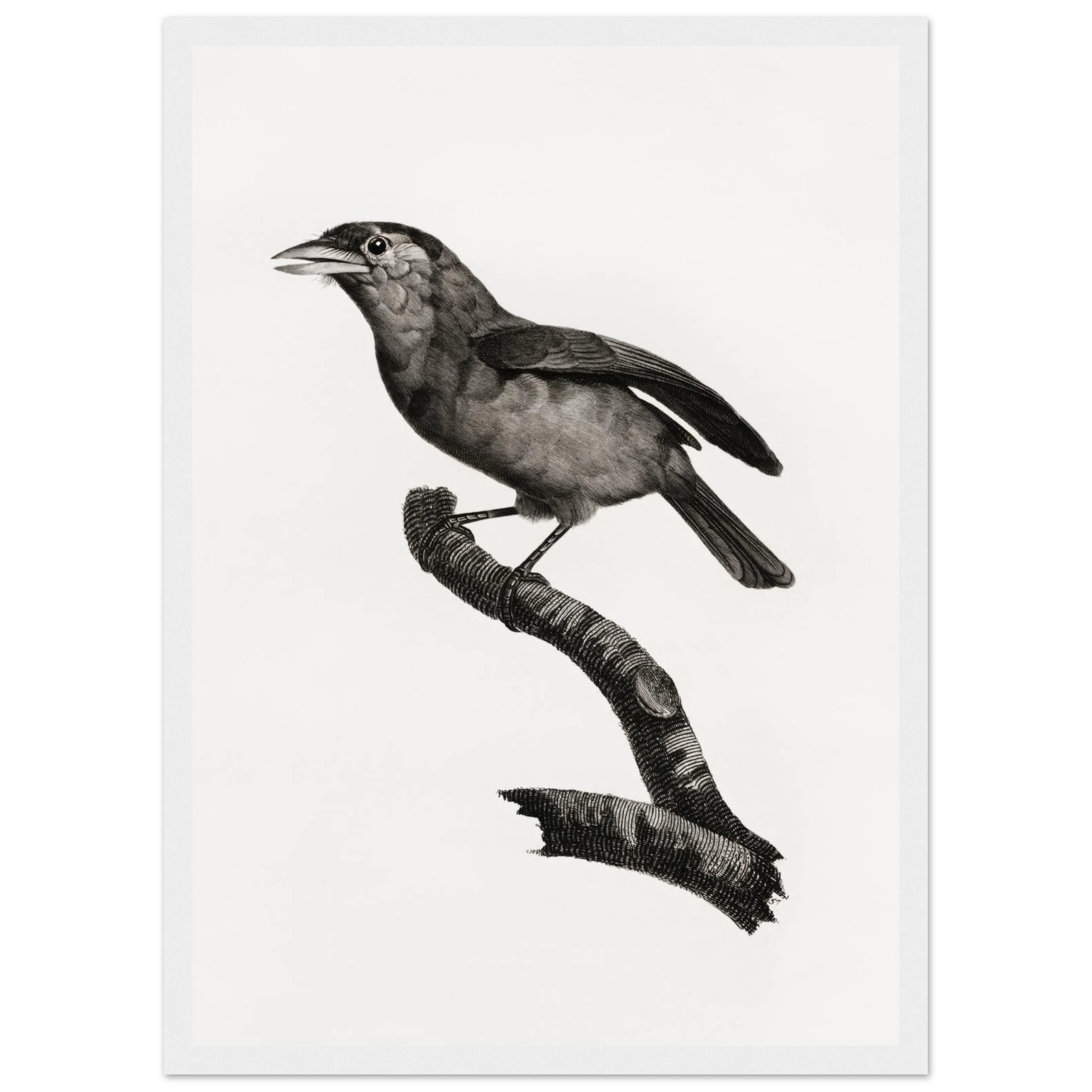 b5395055-5eef-448b-b199-778eca4e87b2