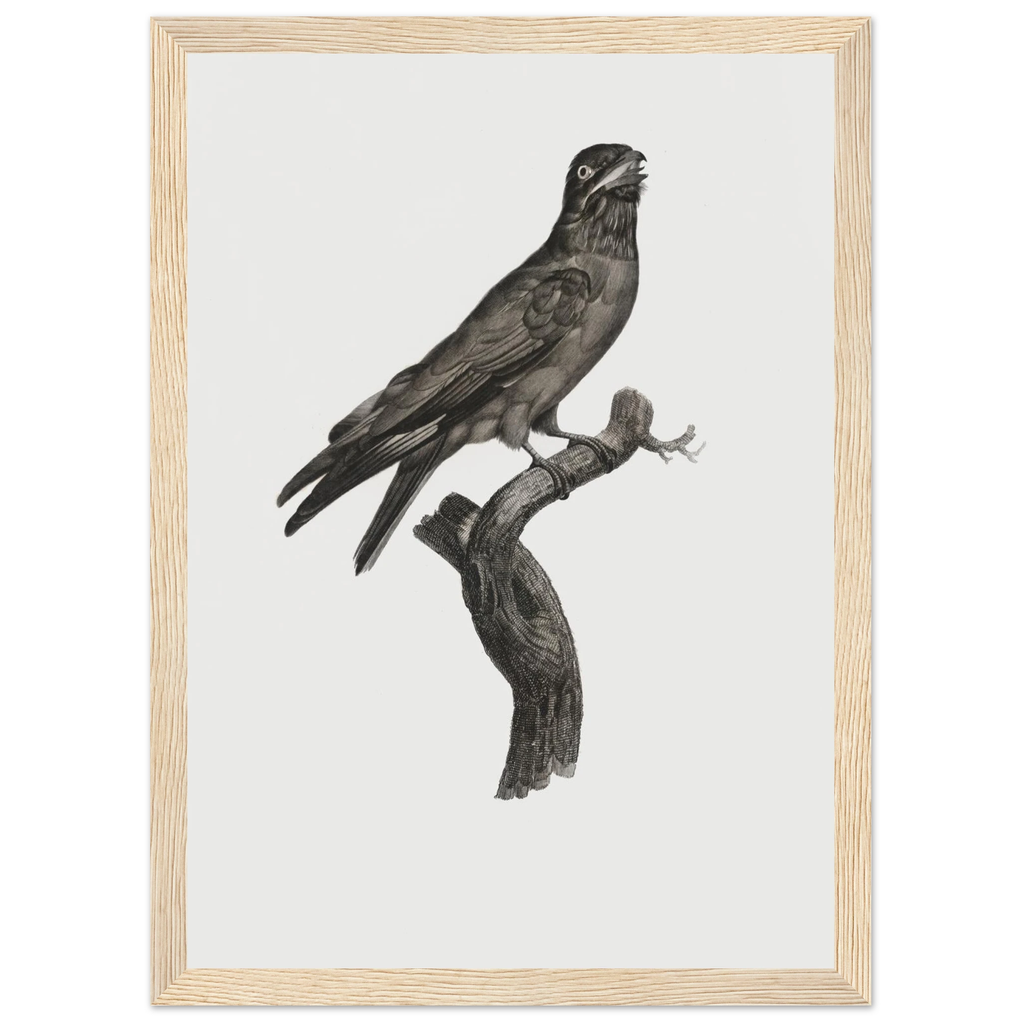 b5ac9861-7175-4259-b424-5b0576cf532b