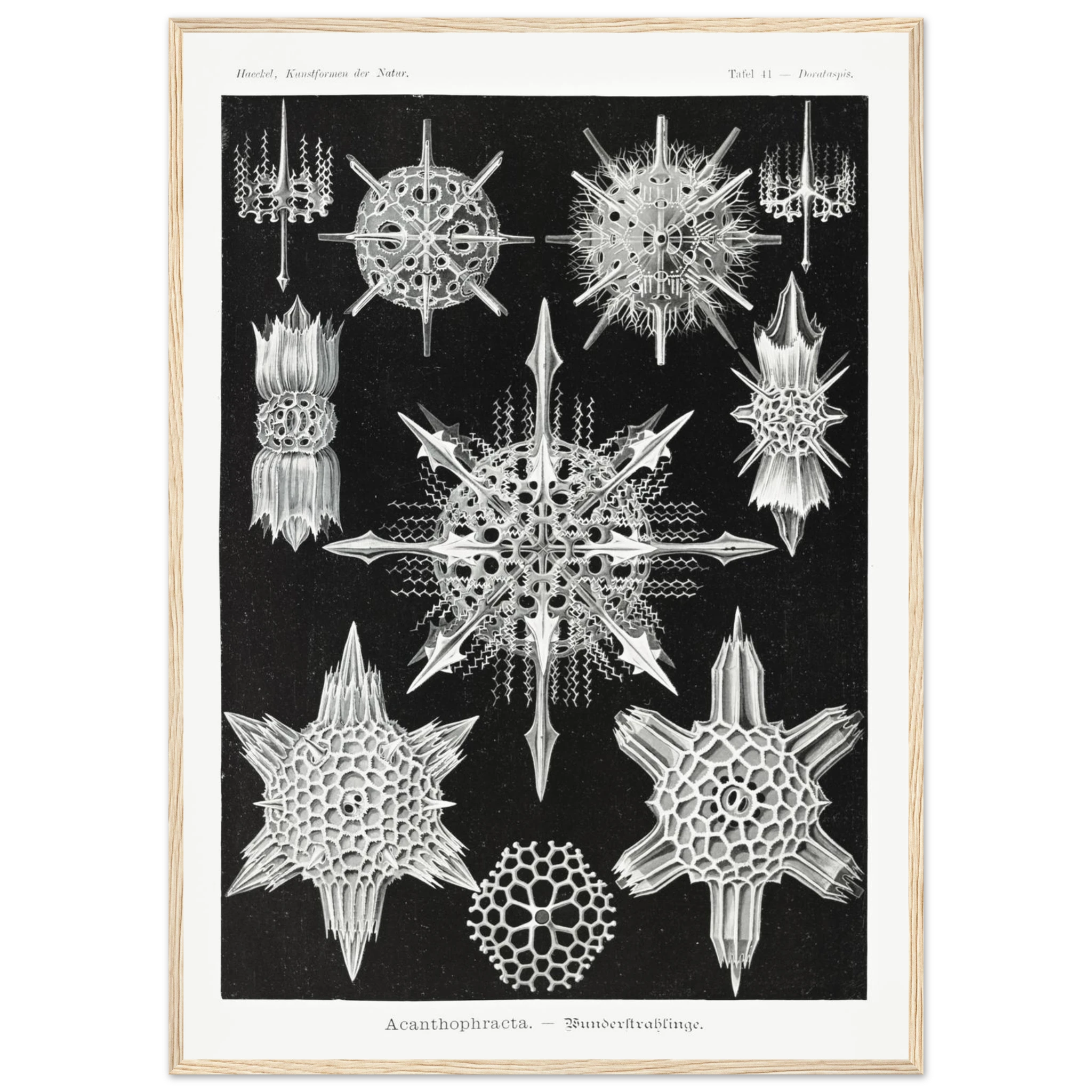 b5d70118-5a67-493b-8e2c-4a4fe106f33b