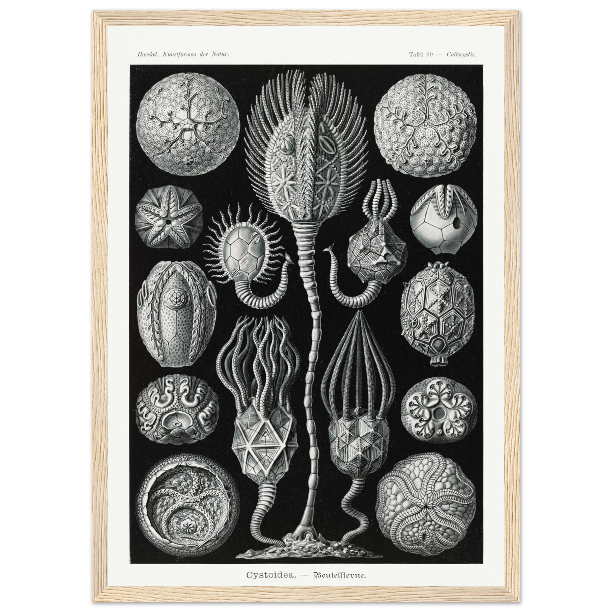 b6236620-aaef-489b-a91b-33a3d14a360d