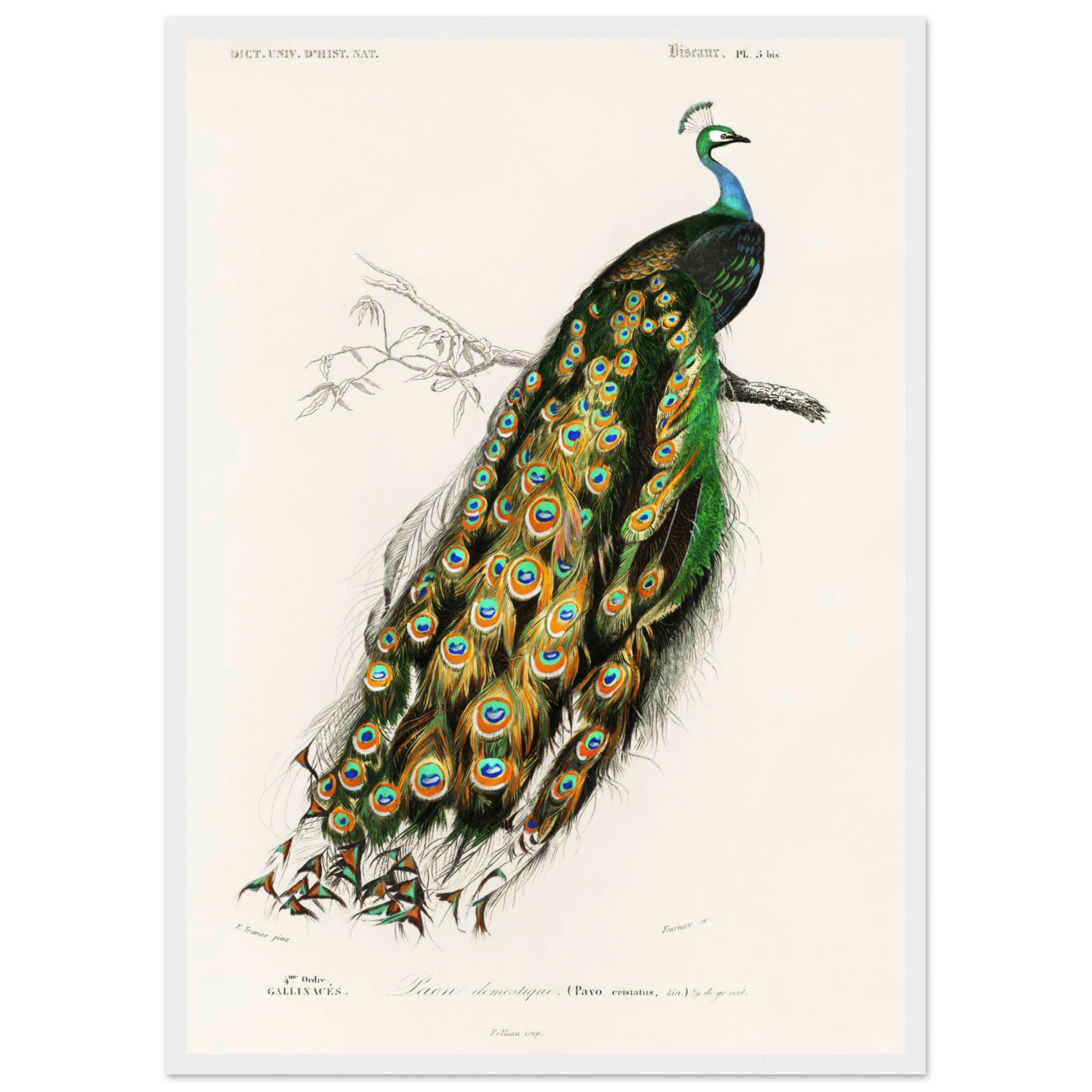 b6d97dd1-ec5d-4cbc-a9aa-2db630389507