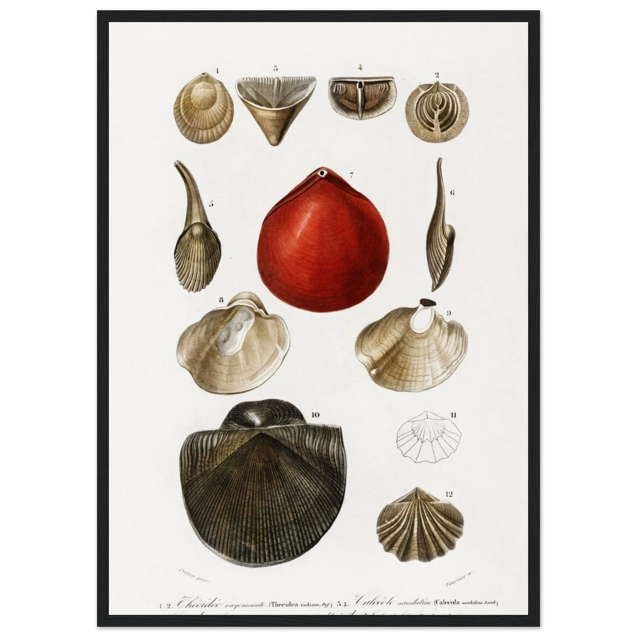 b72bd82d-c0b6-4e1a-9e45-7bb525bc013d