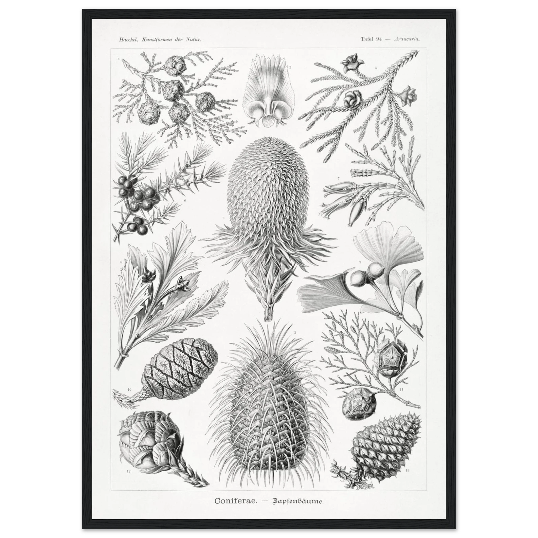 b7640ec2-e2b4-4ac9-bd92-d666422aae9c