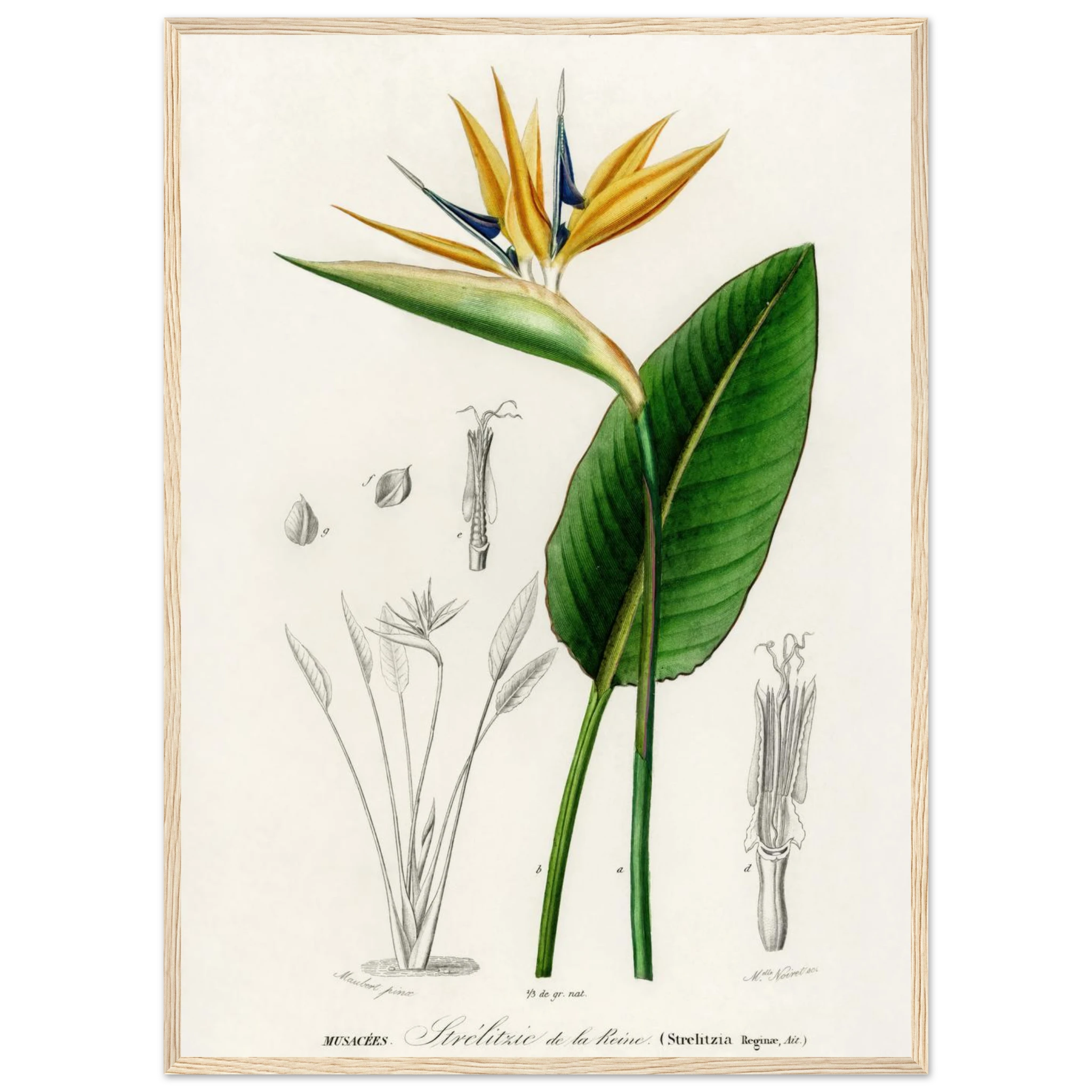 b76a1140-9ca7-4fc5-8cd2-722298451aa0