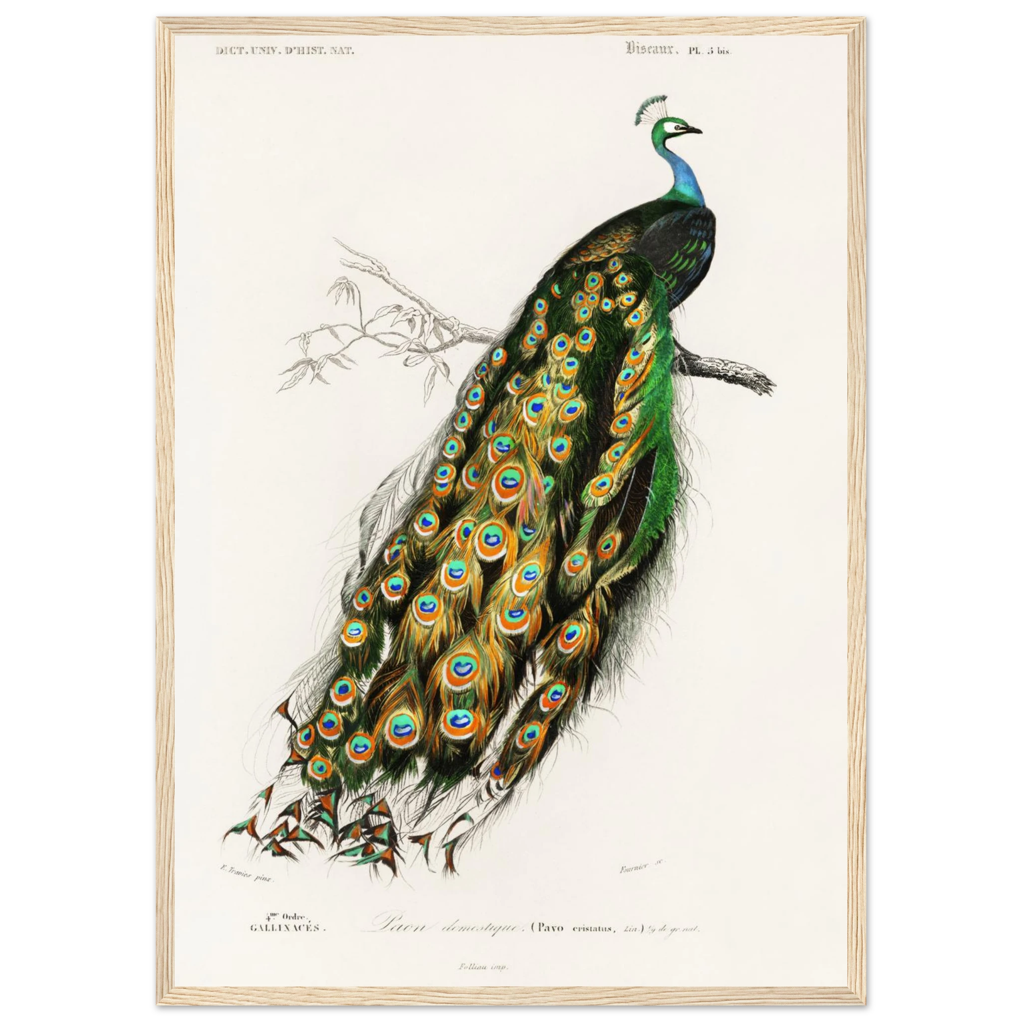 b76f3b28-81ff-4618-8e44-21c94d29be39